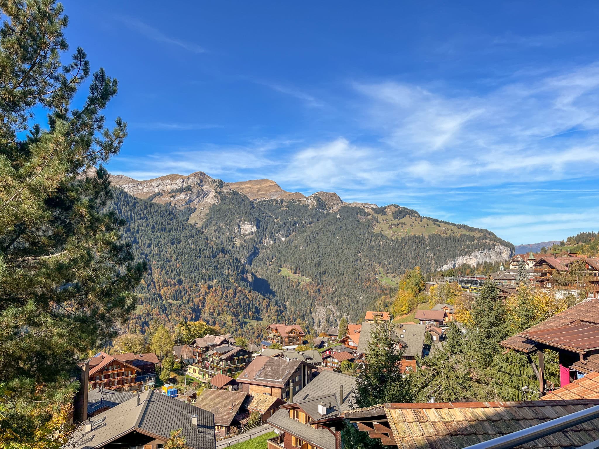 View