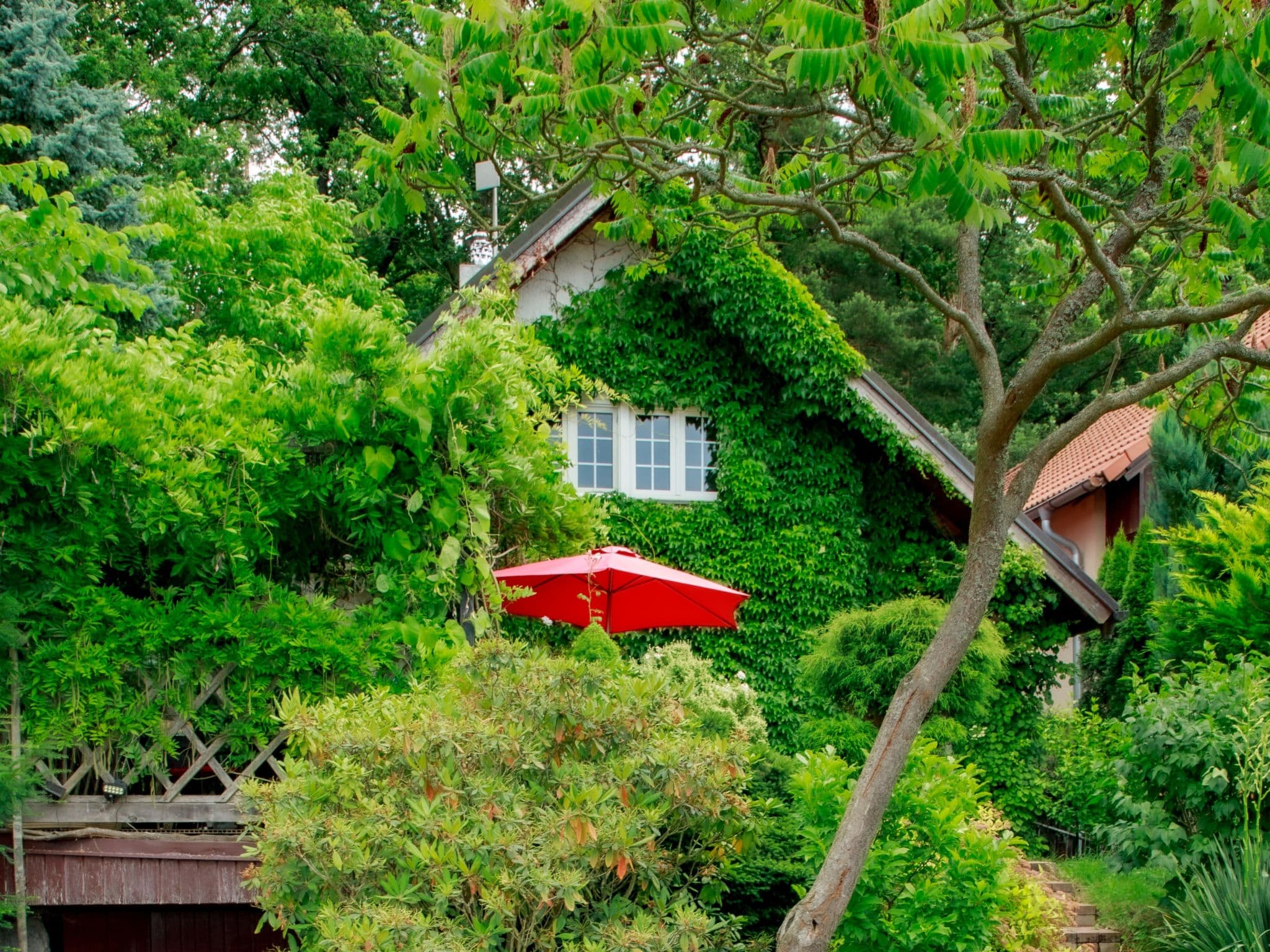 Outdoor