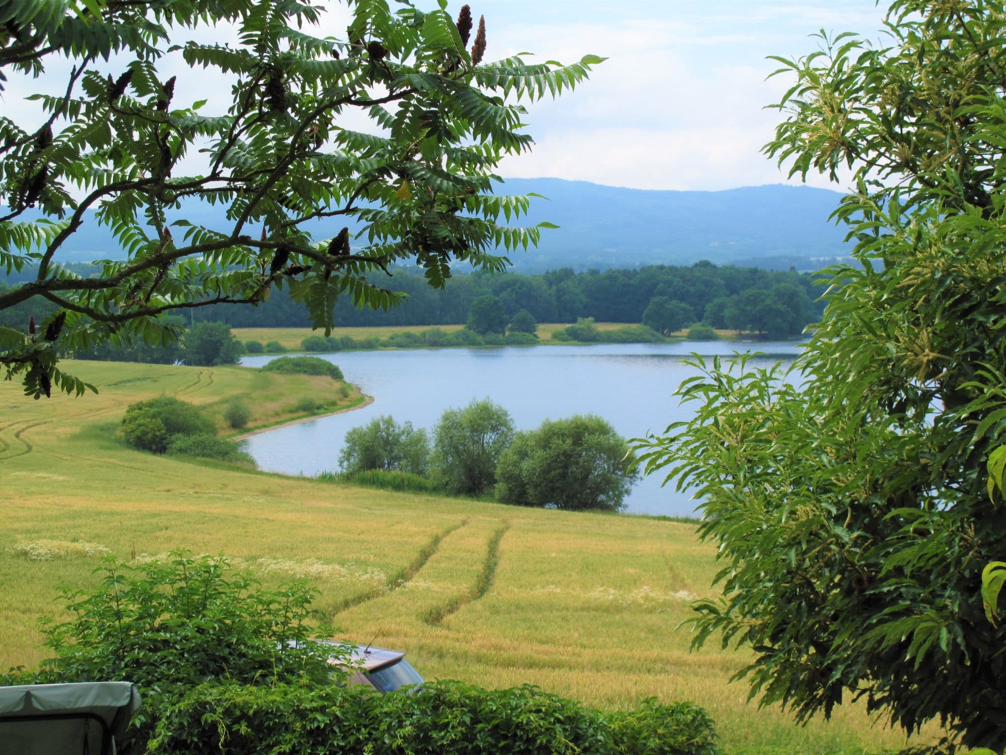 View