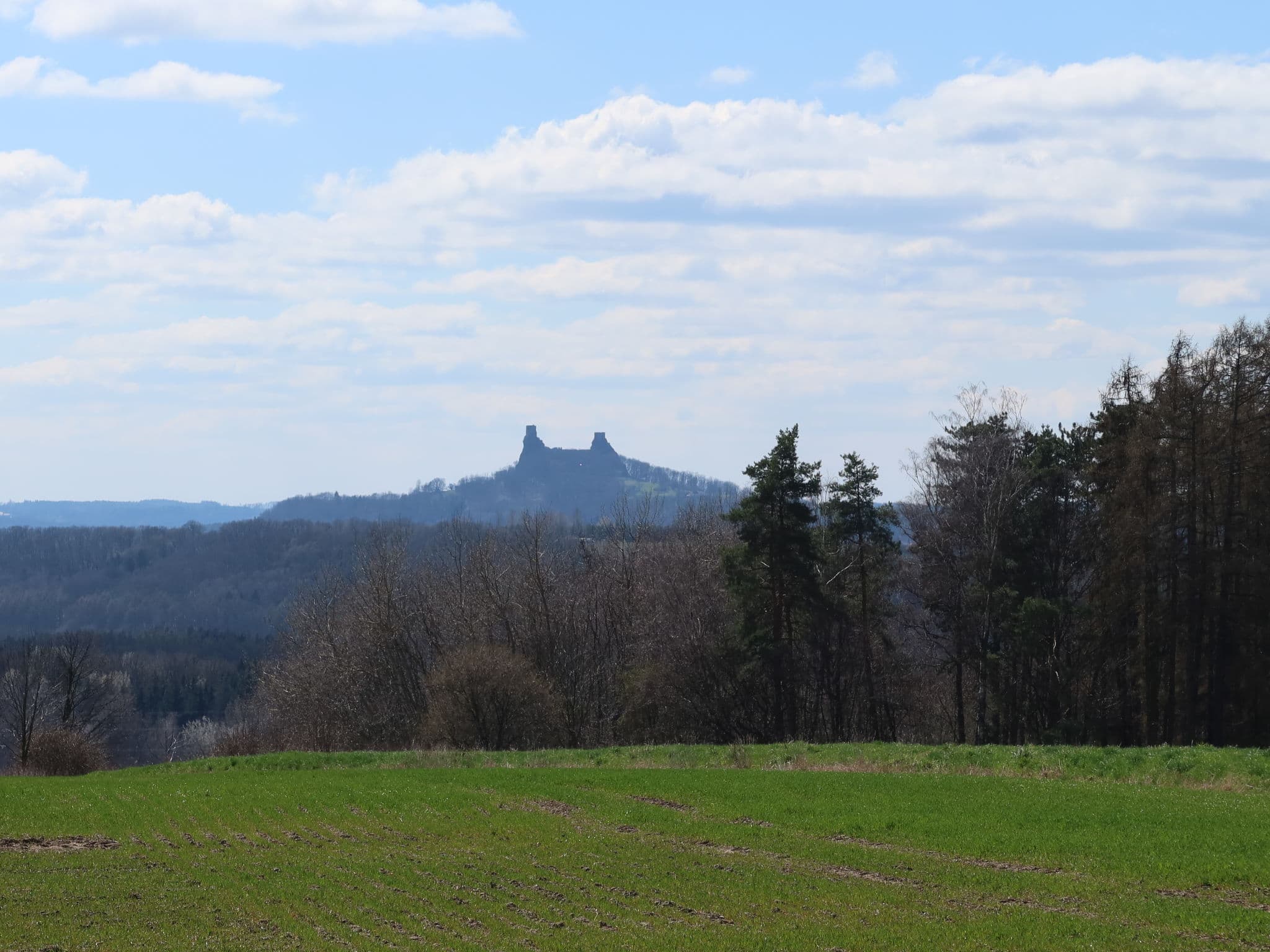 View