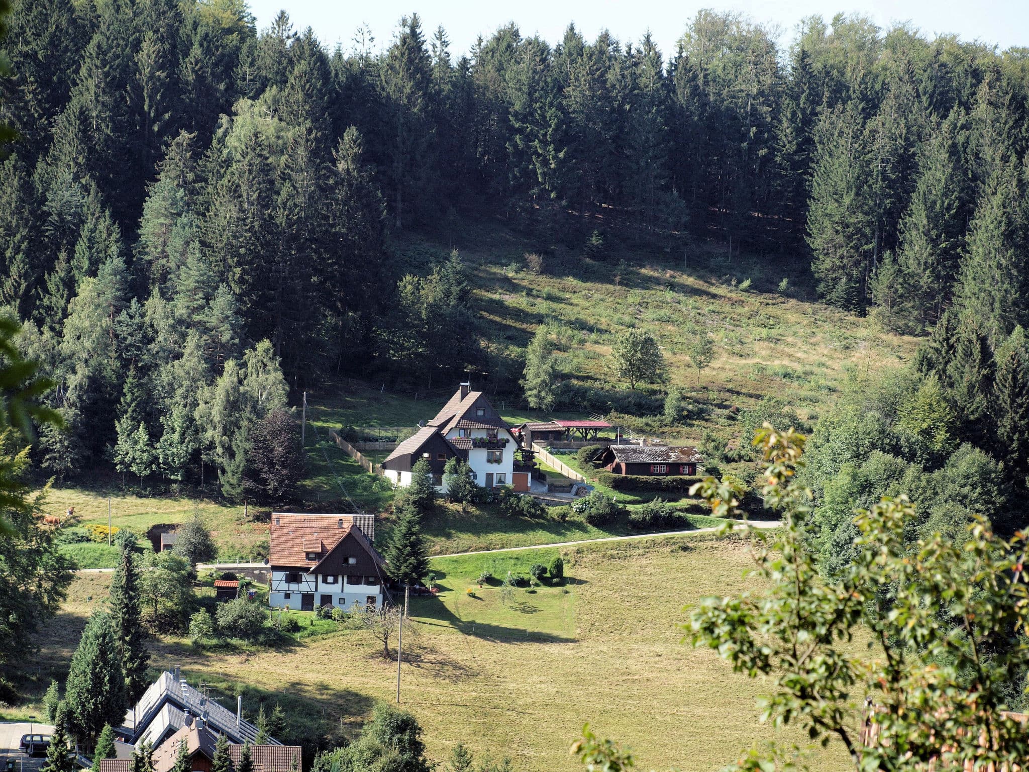 View
