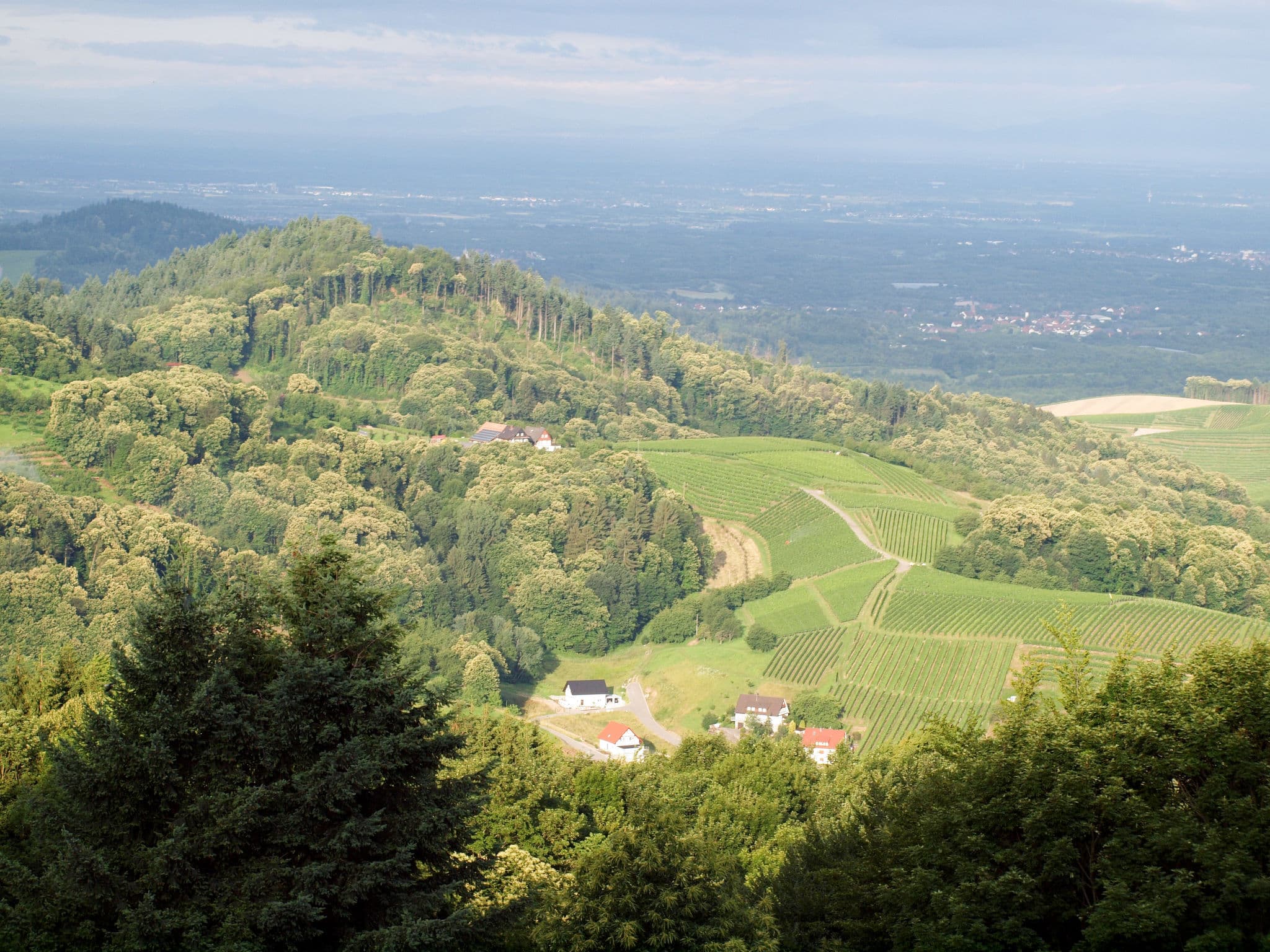 View