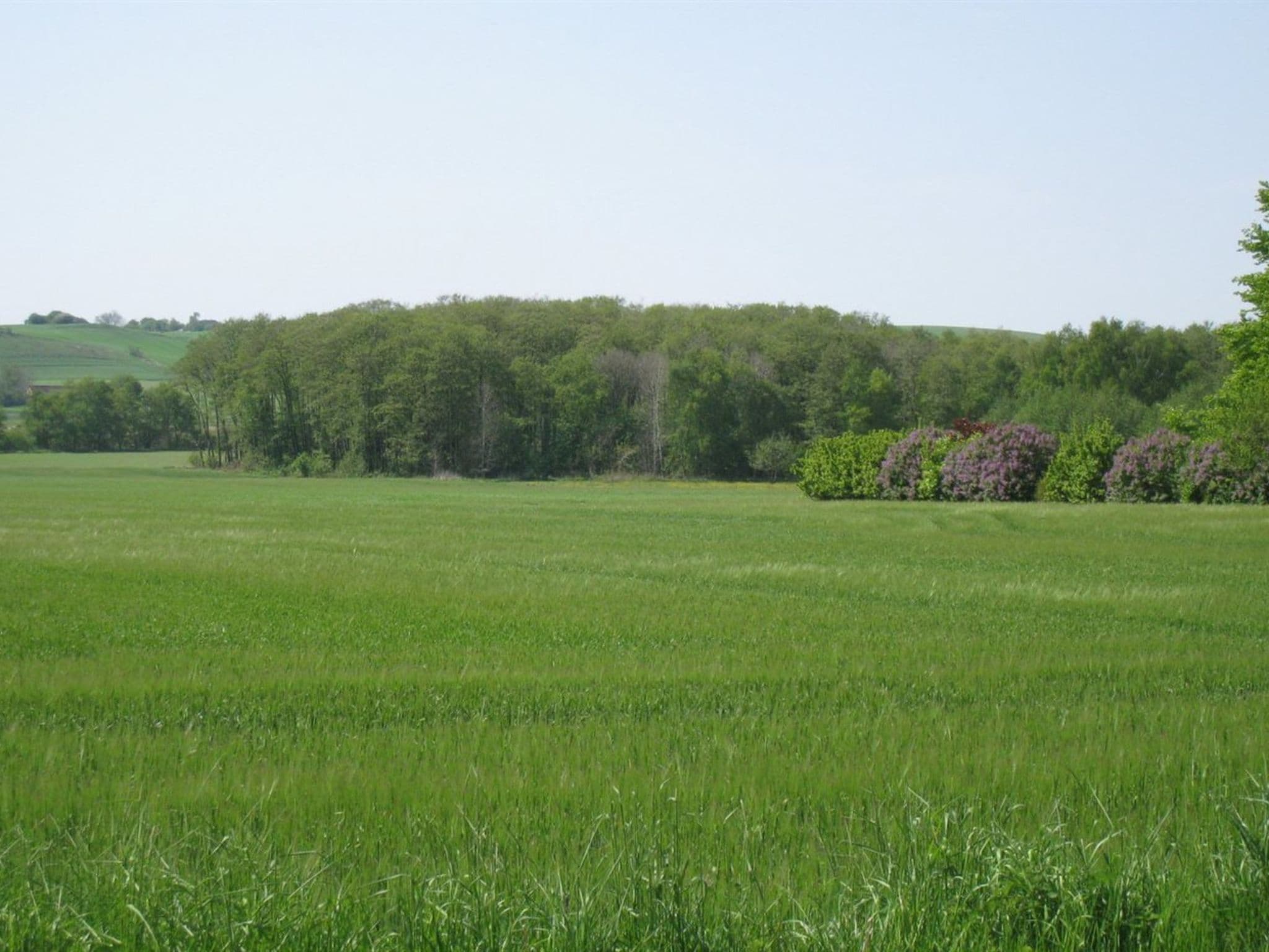 Place