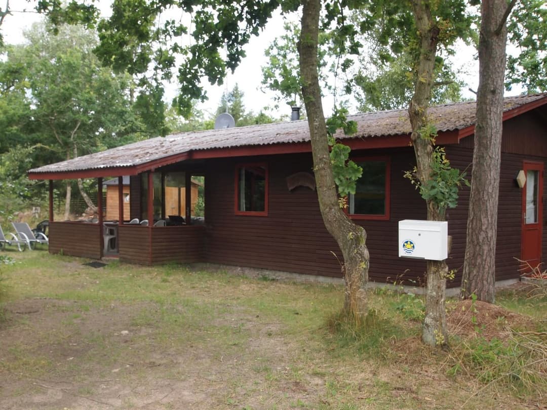 Large Image