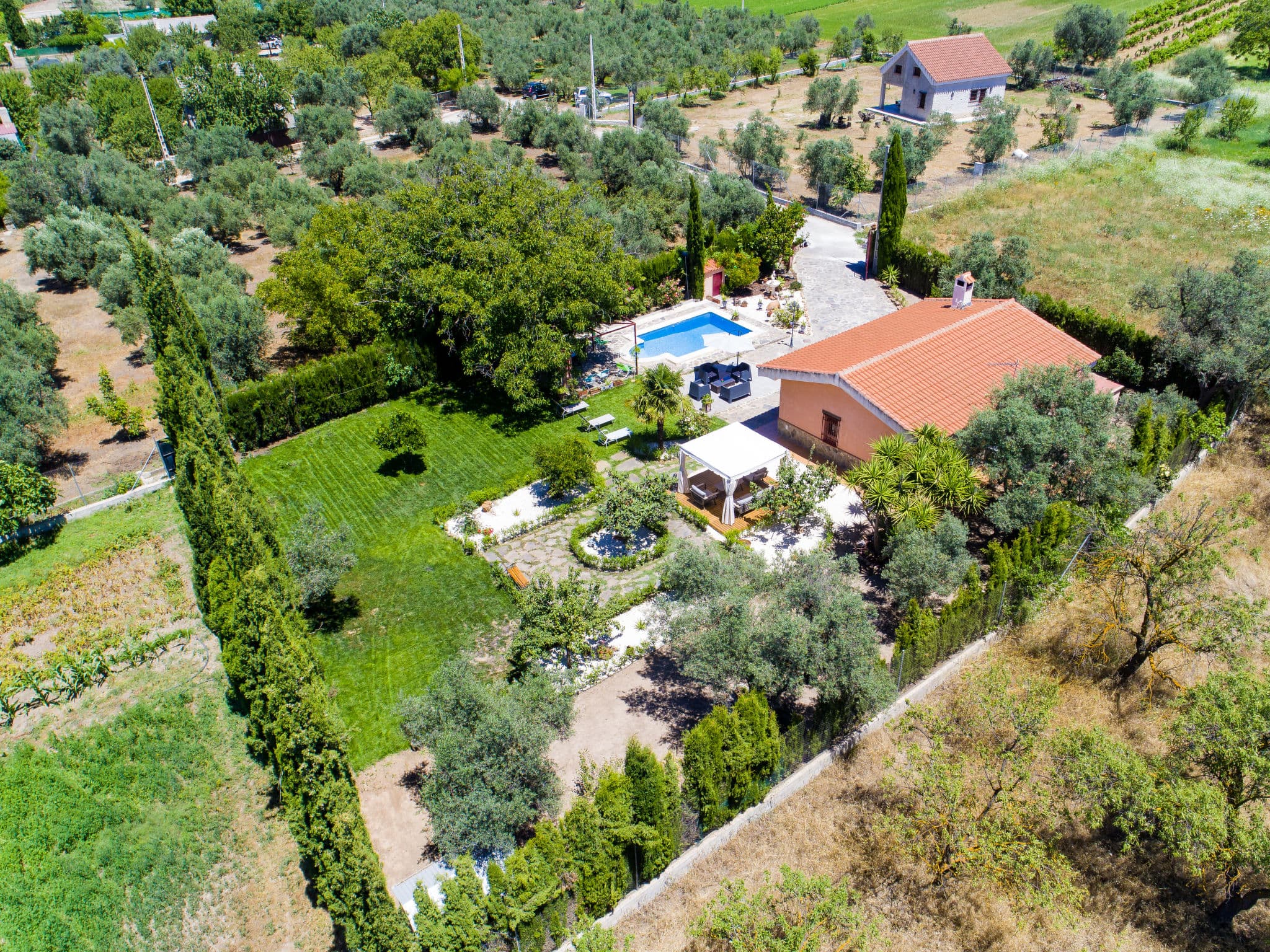 Aerial photography