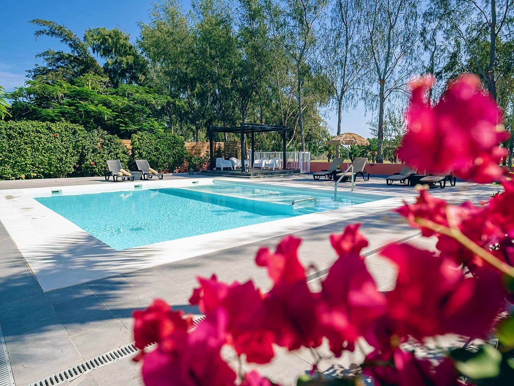 Pool Outdoor