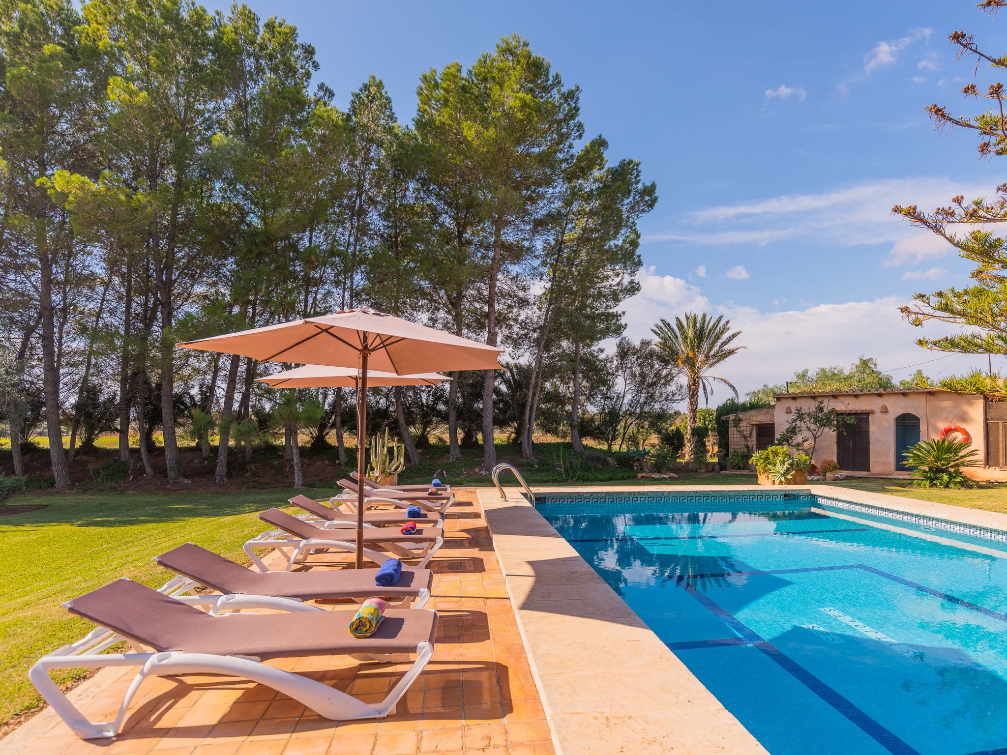 Pool Outdoor