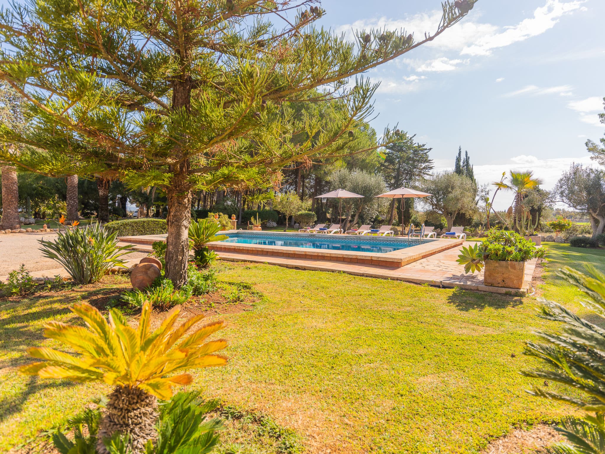 Pool Outdoor