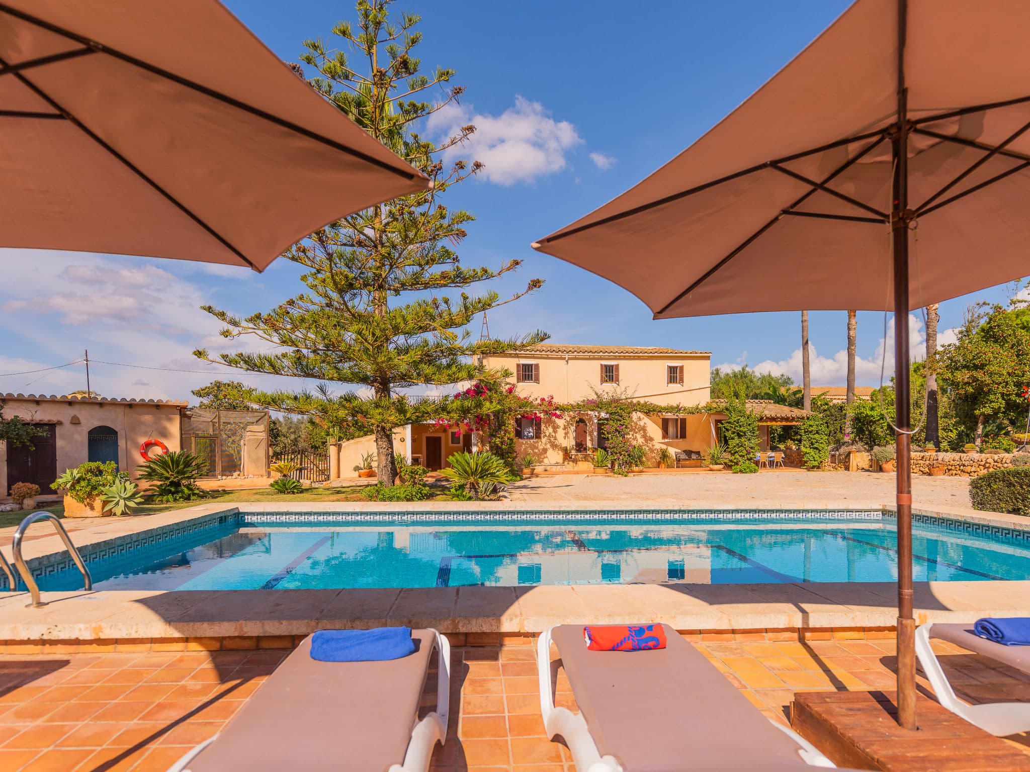 Pool Outdoor