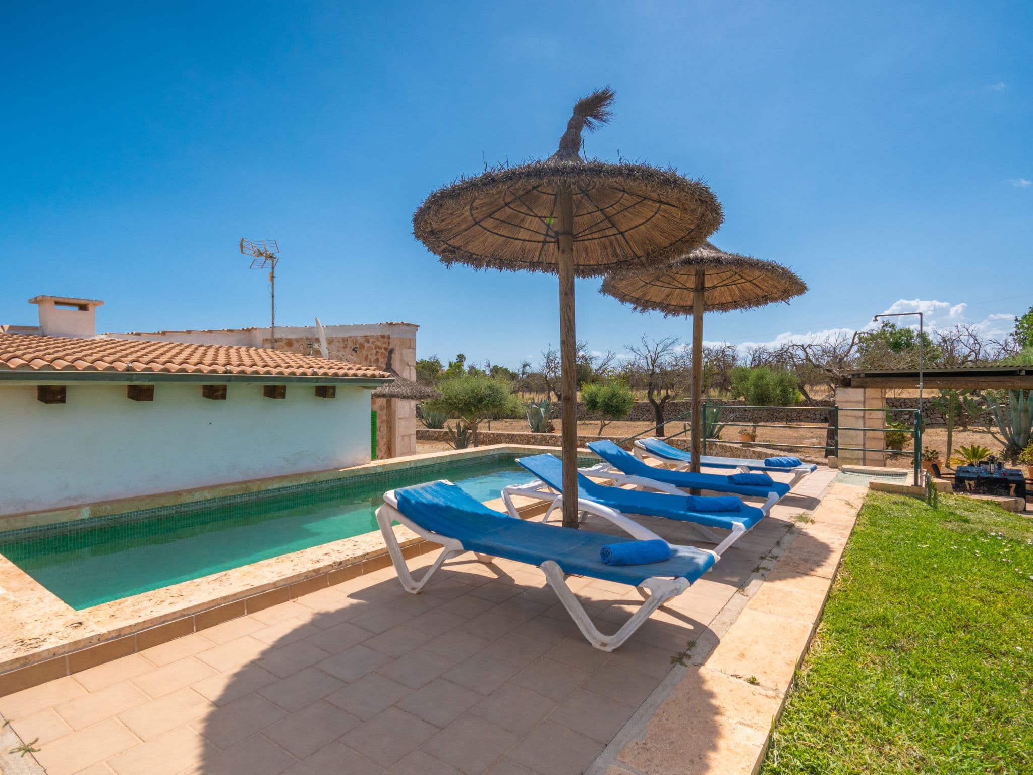 Pool Outdoor