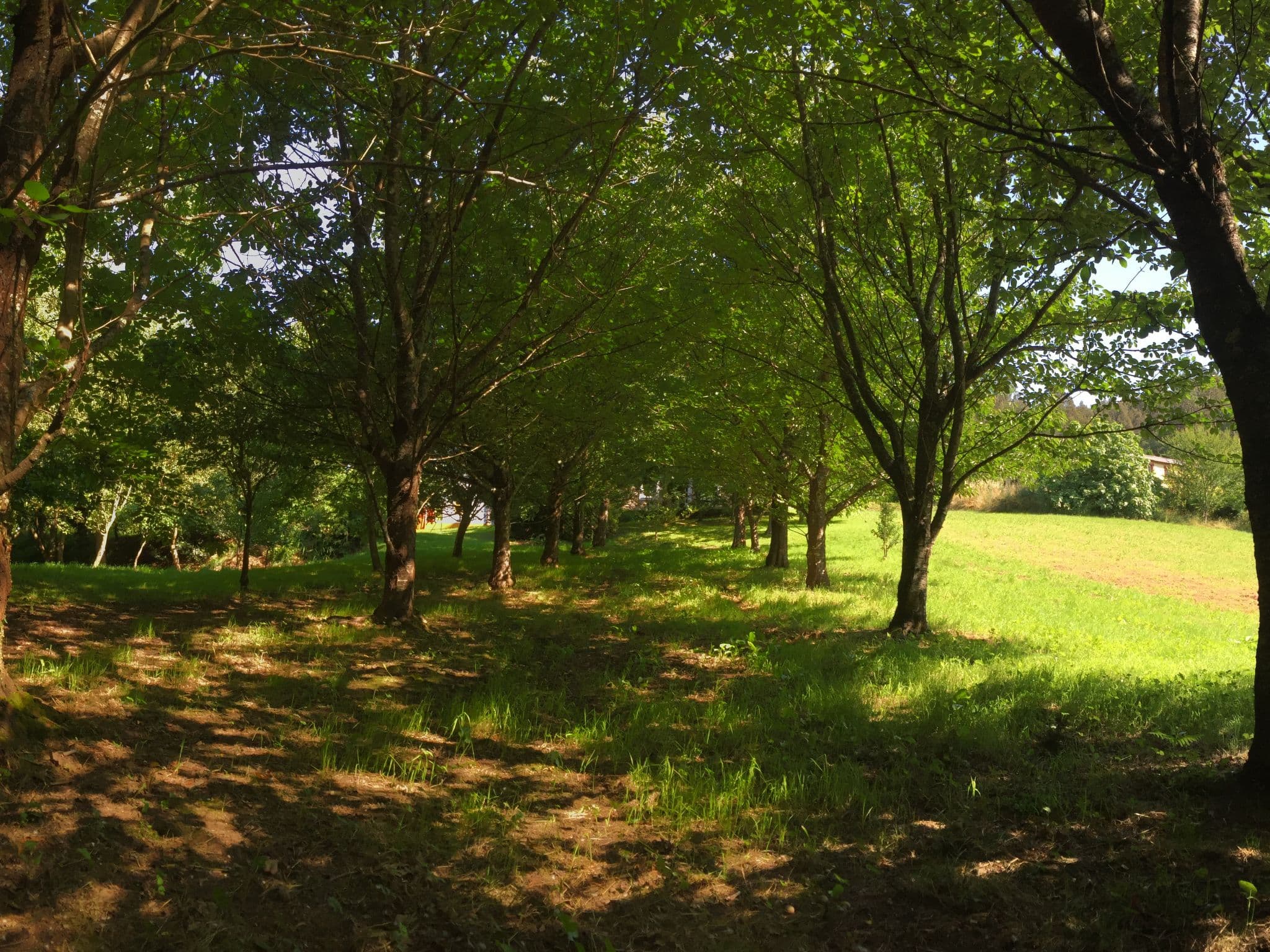 View