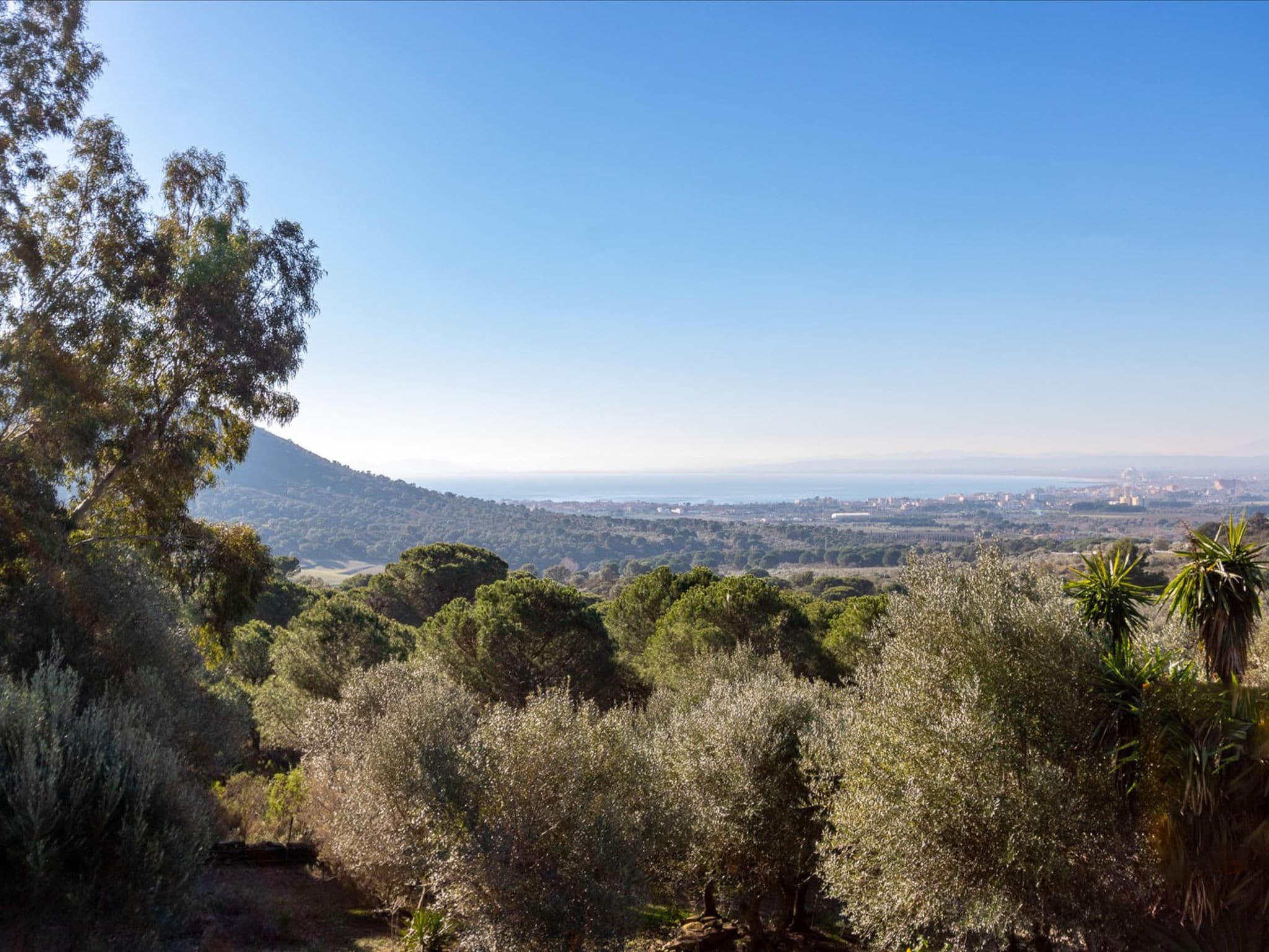 View