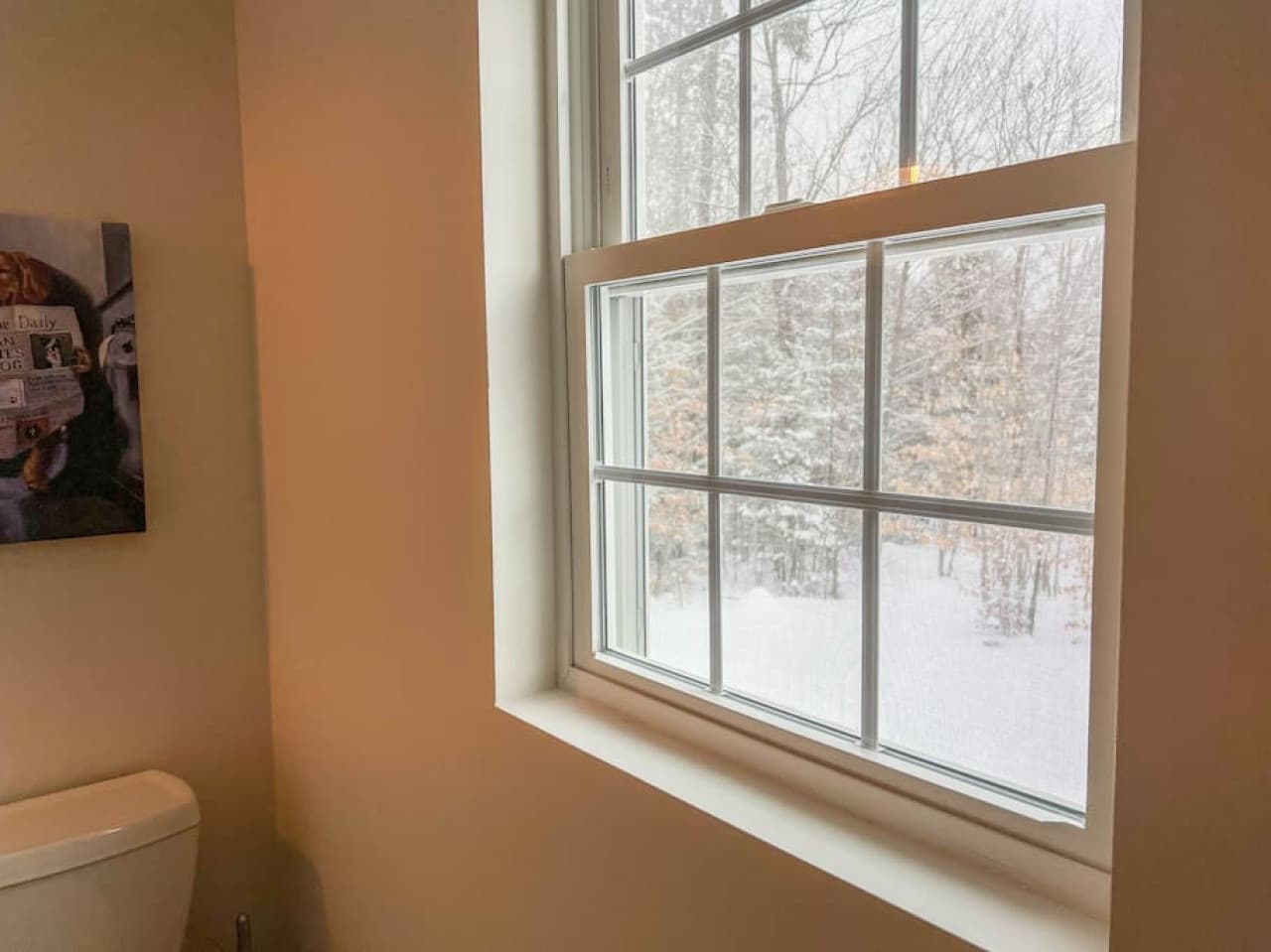 Views from the bathroom