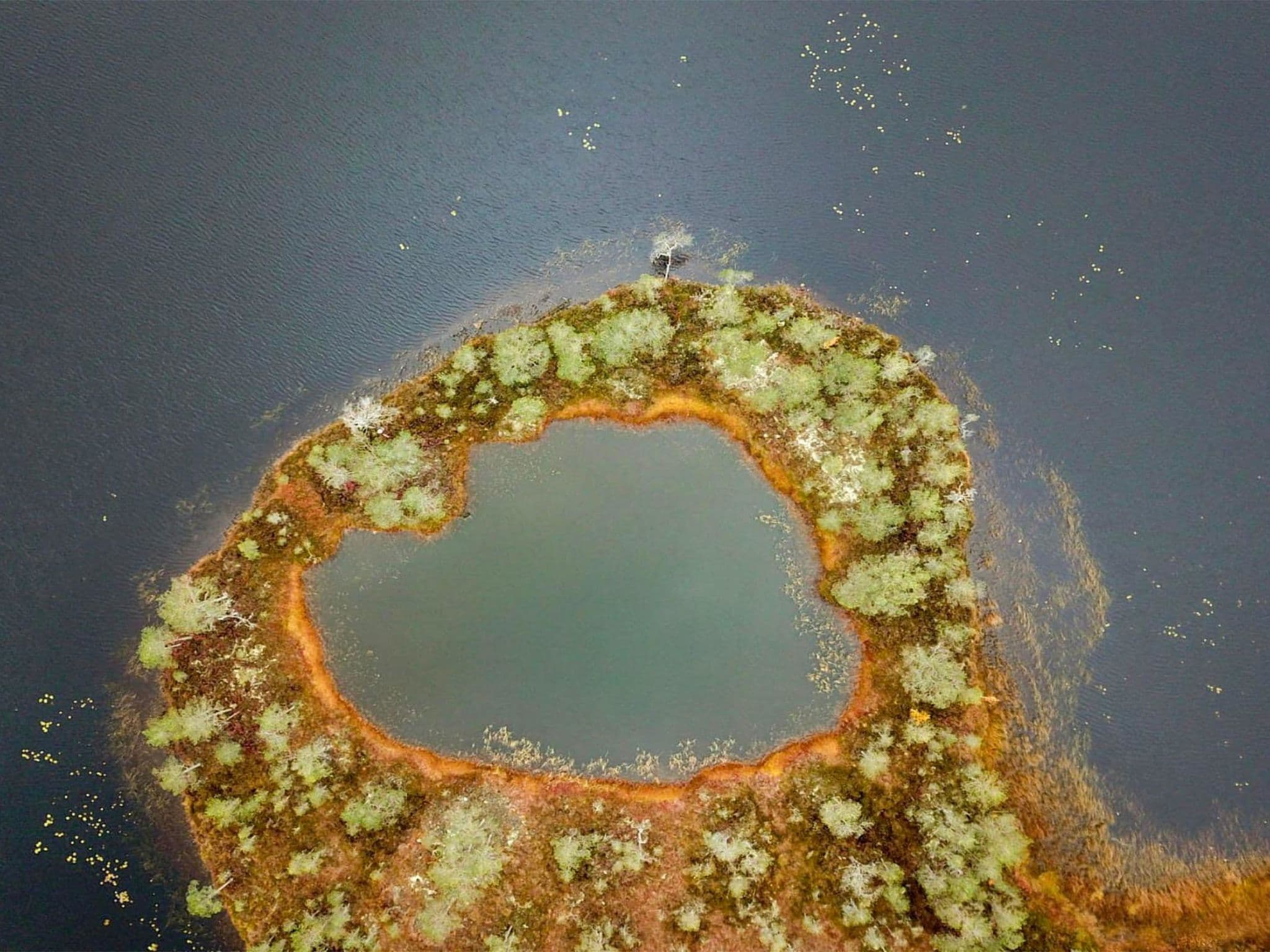 Inside other