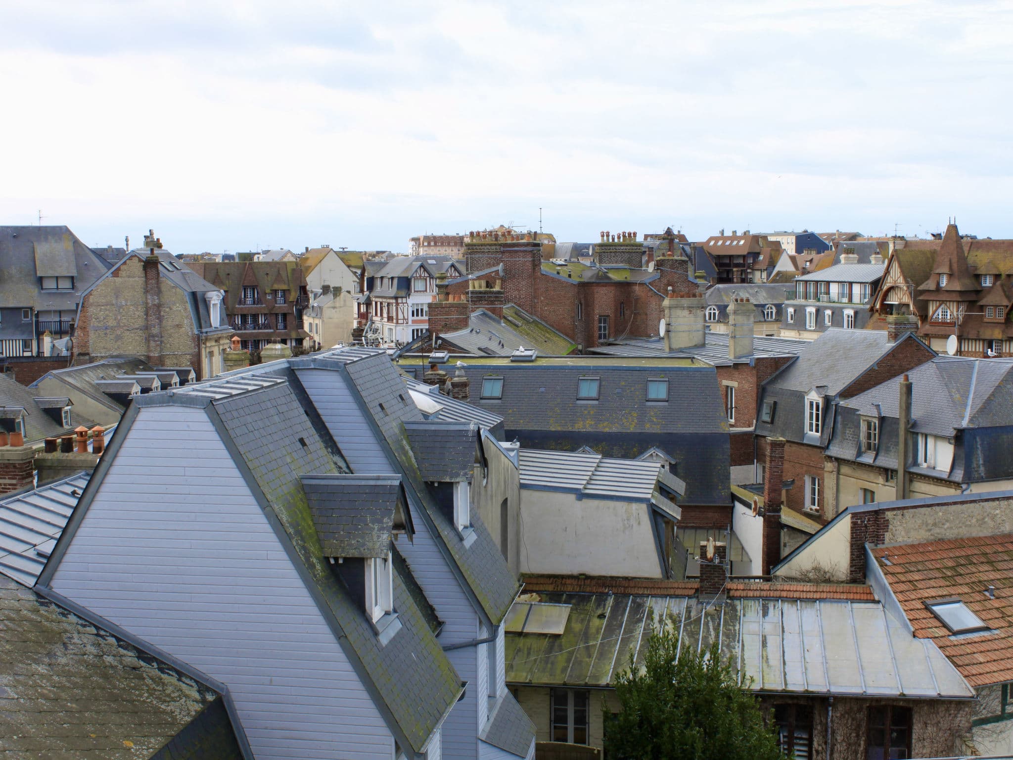 View