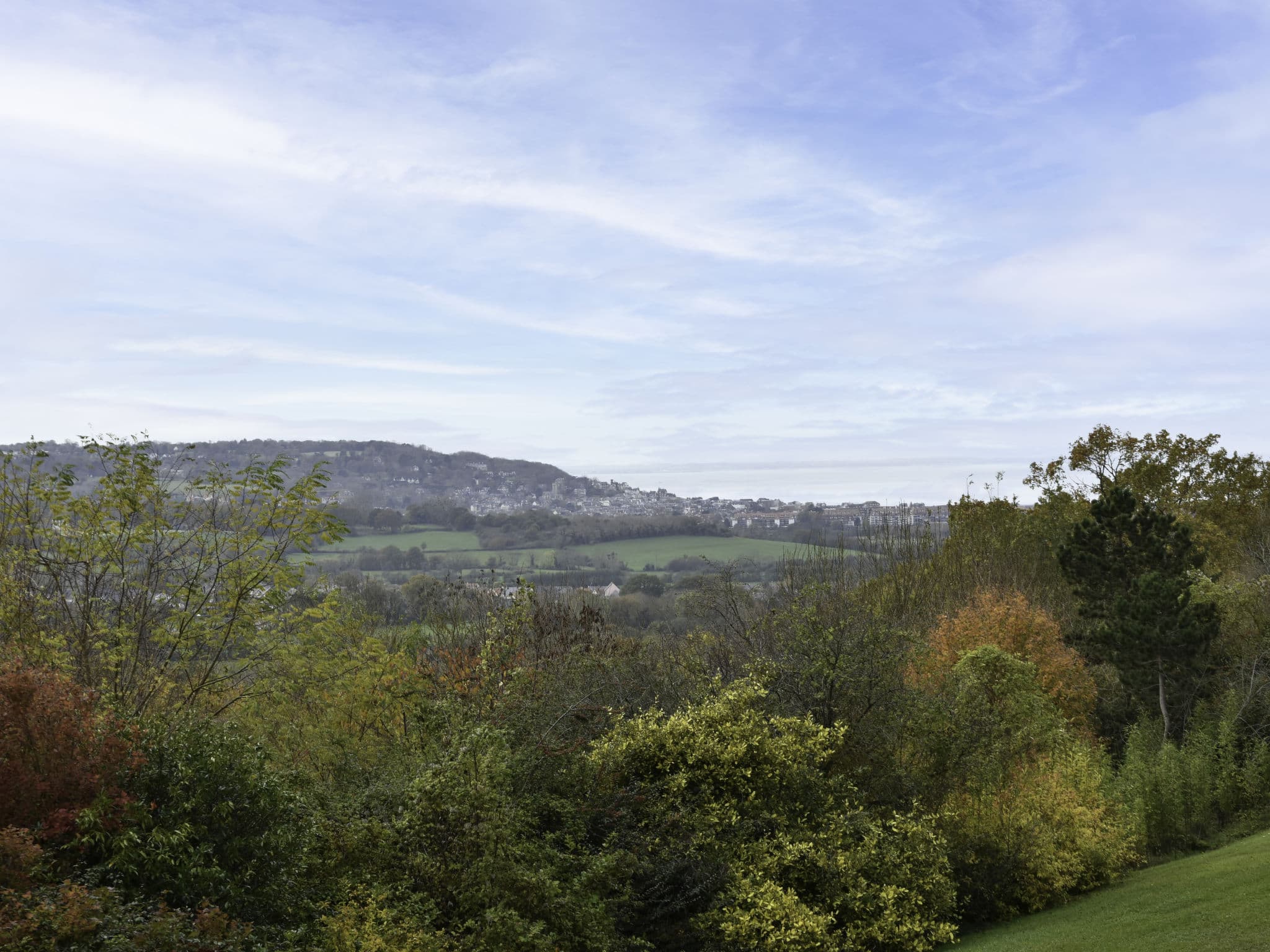View