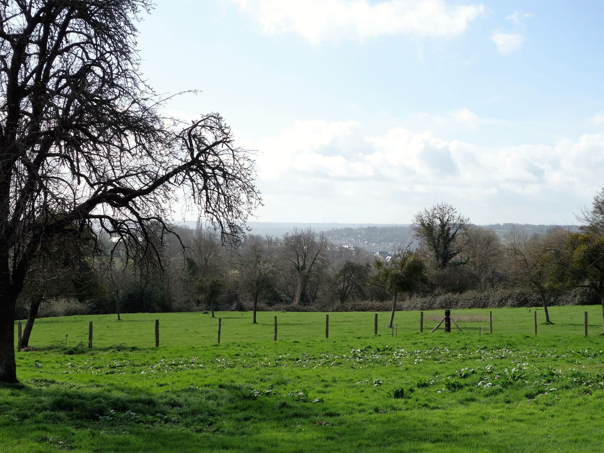 View