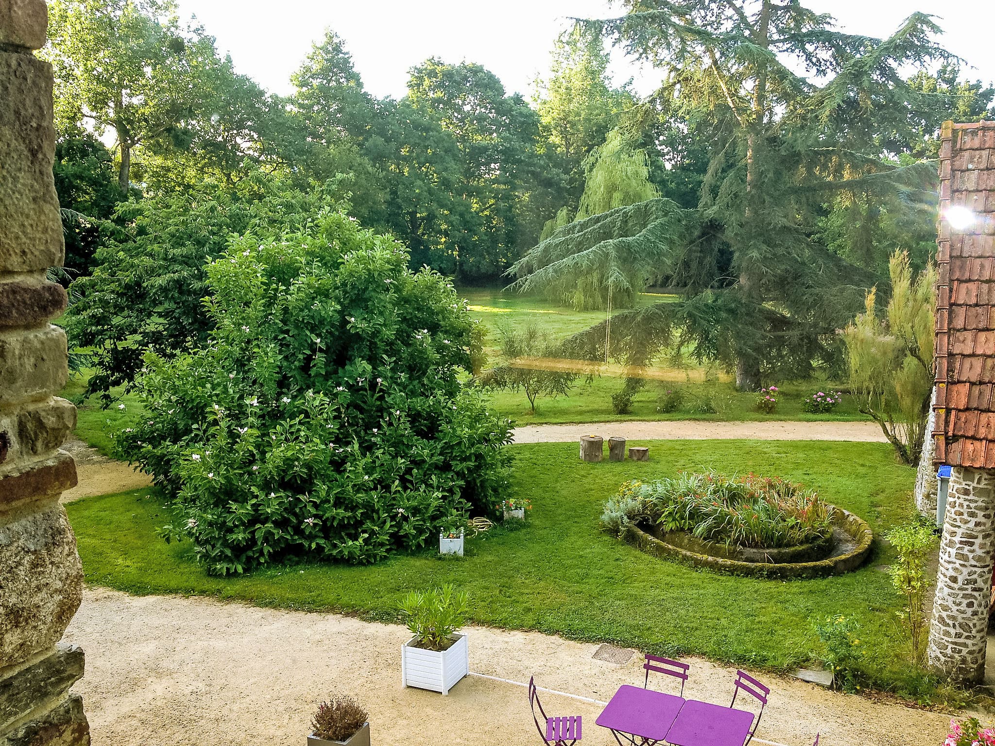 View