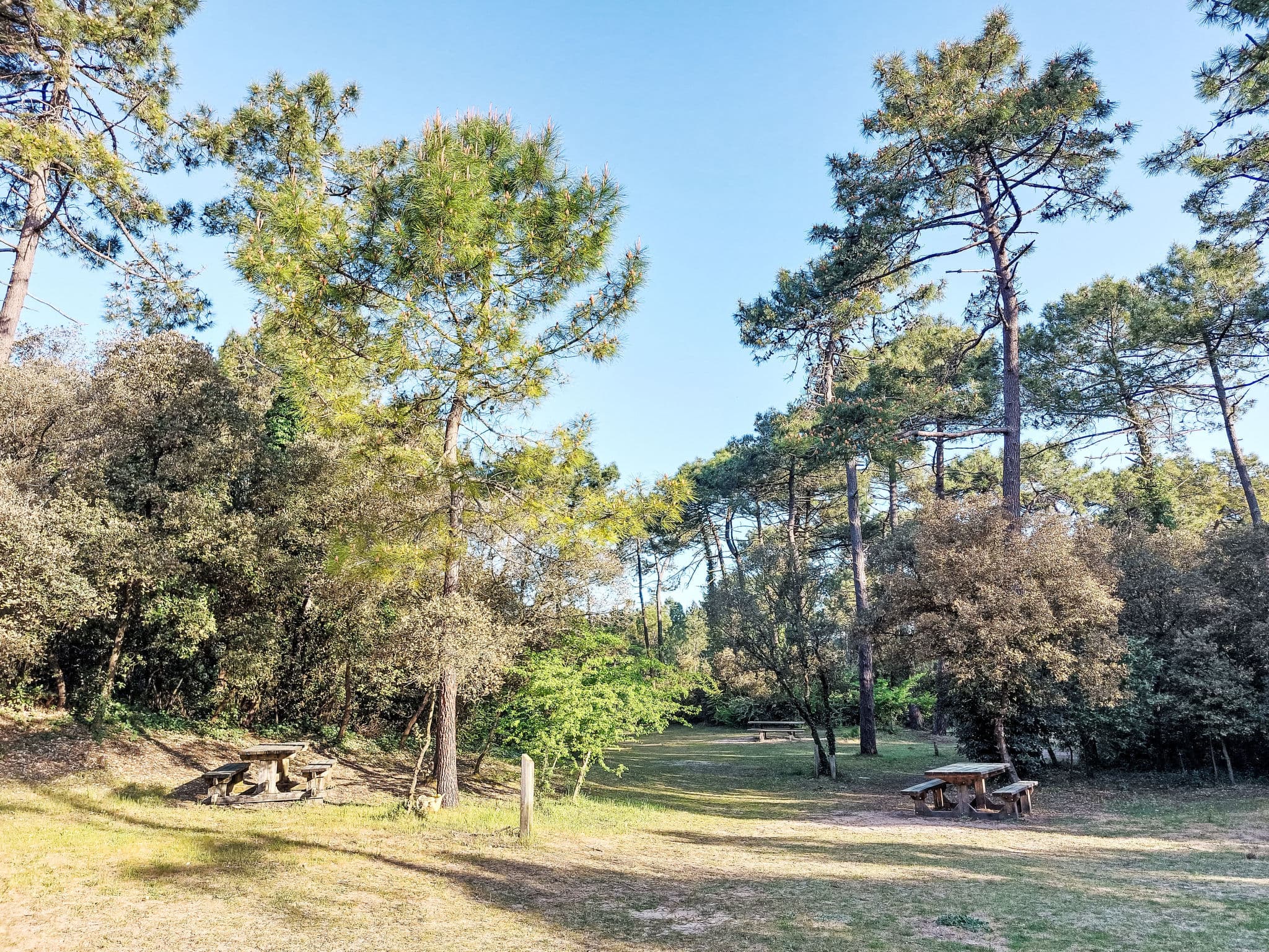 Place