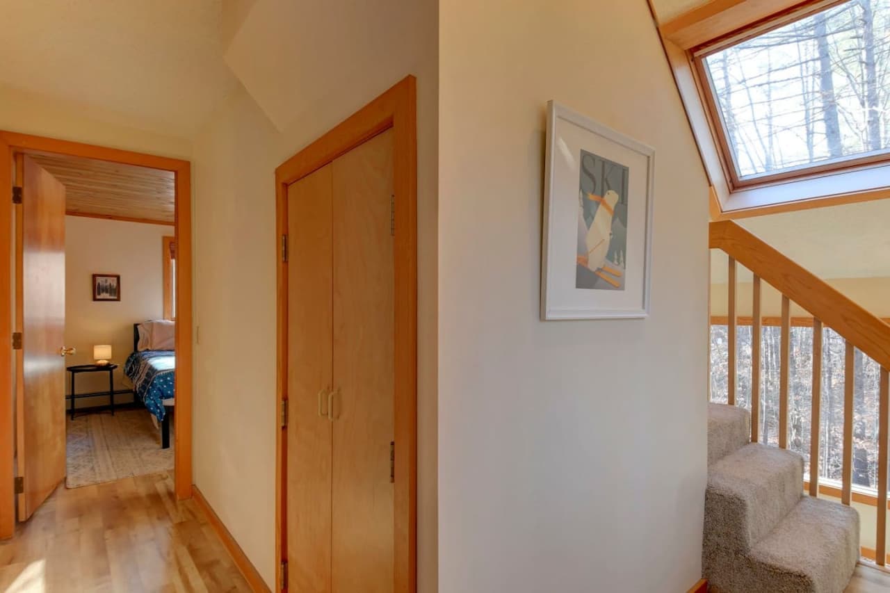 Skylights galore!