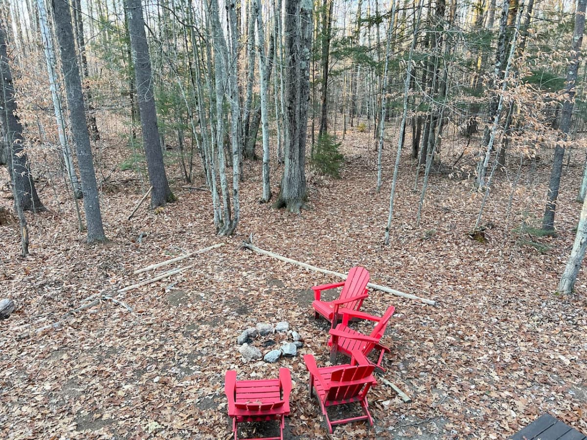 Gallery Image 51