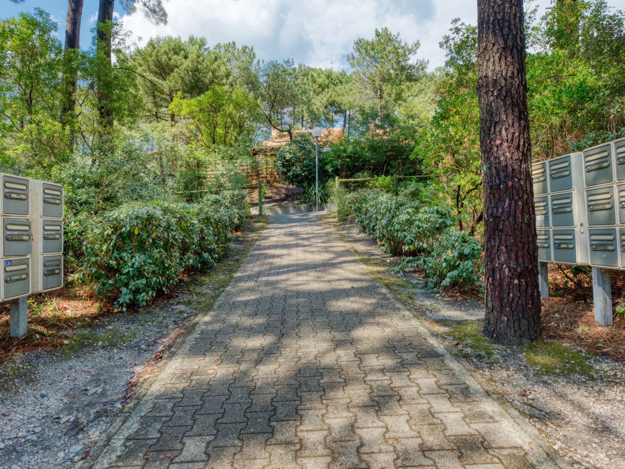 Outdoor