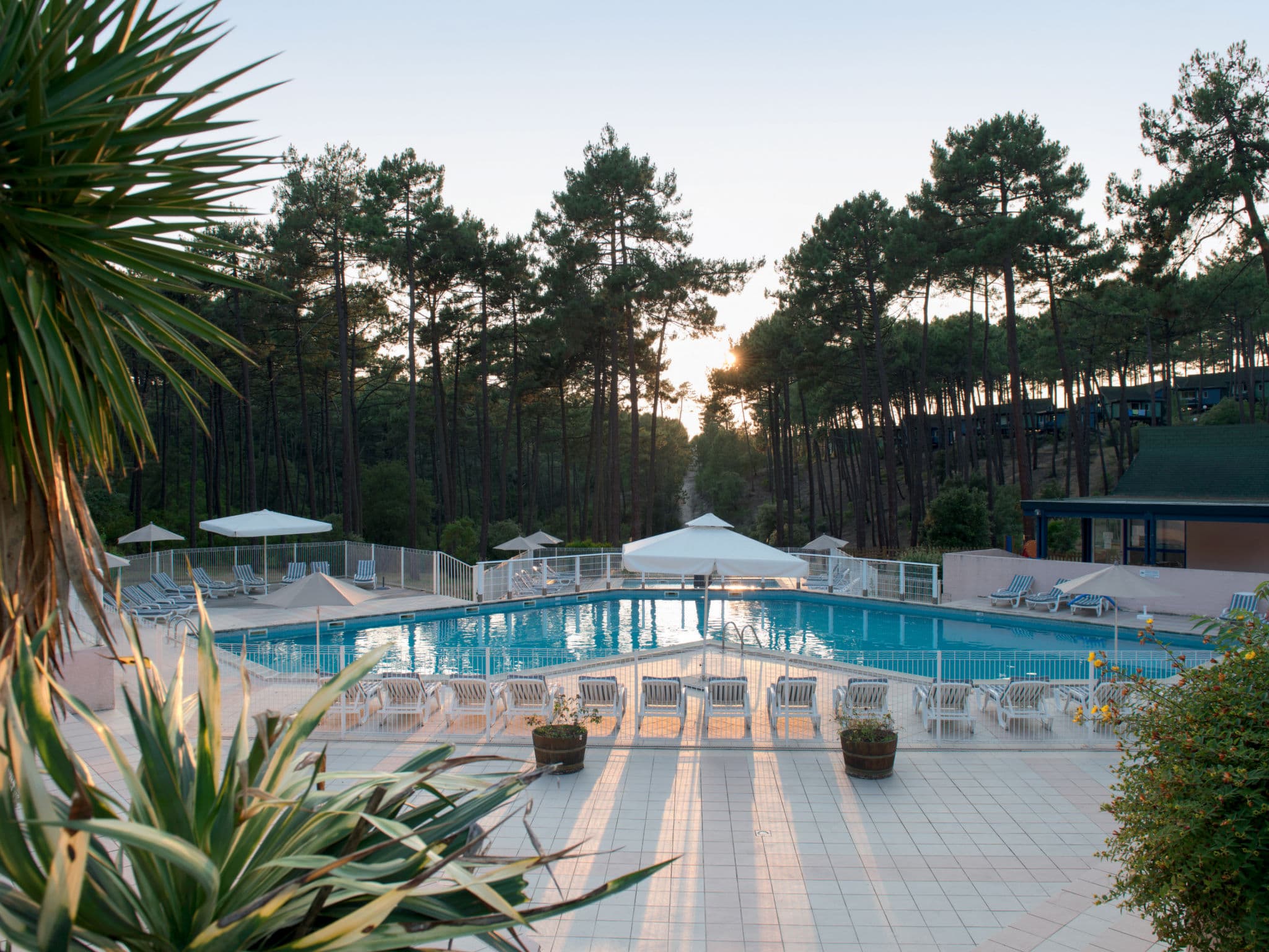Pool Outdoor