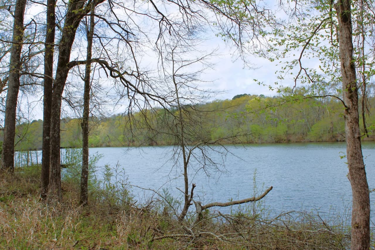 Gallery Image 55