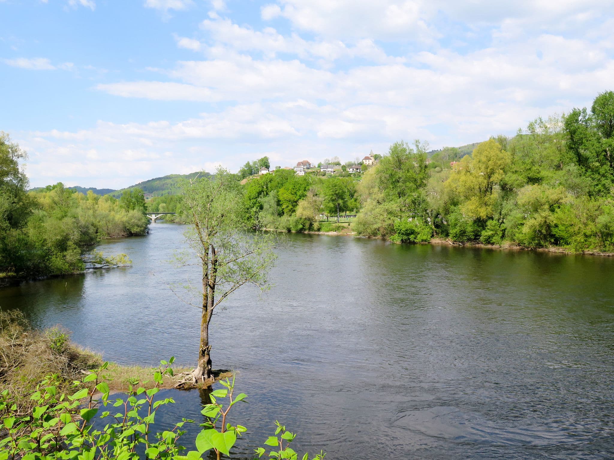 View