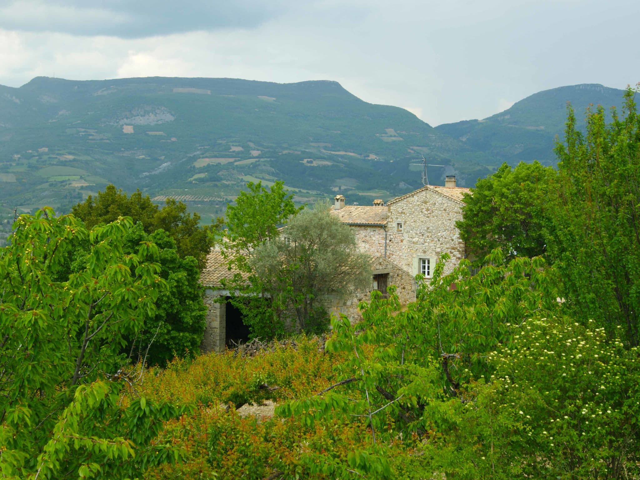 View