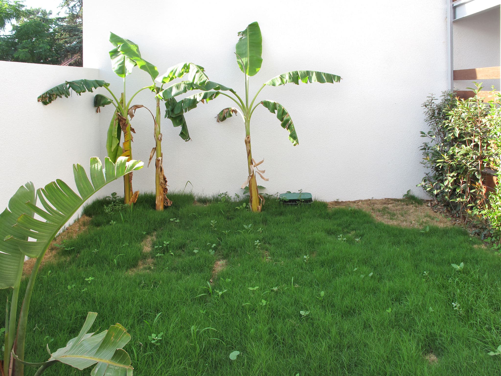 Outdoor