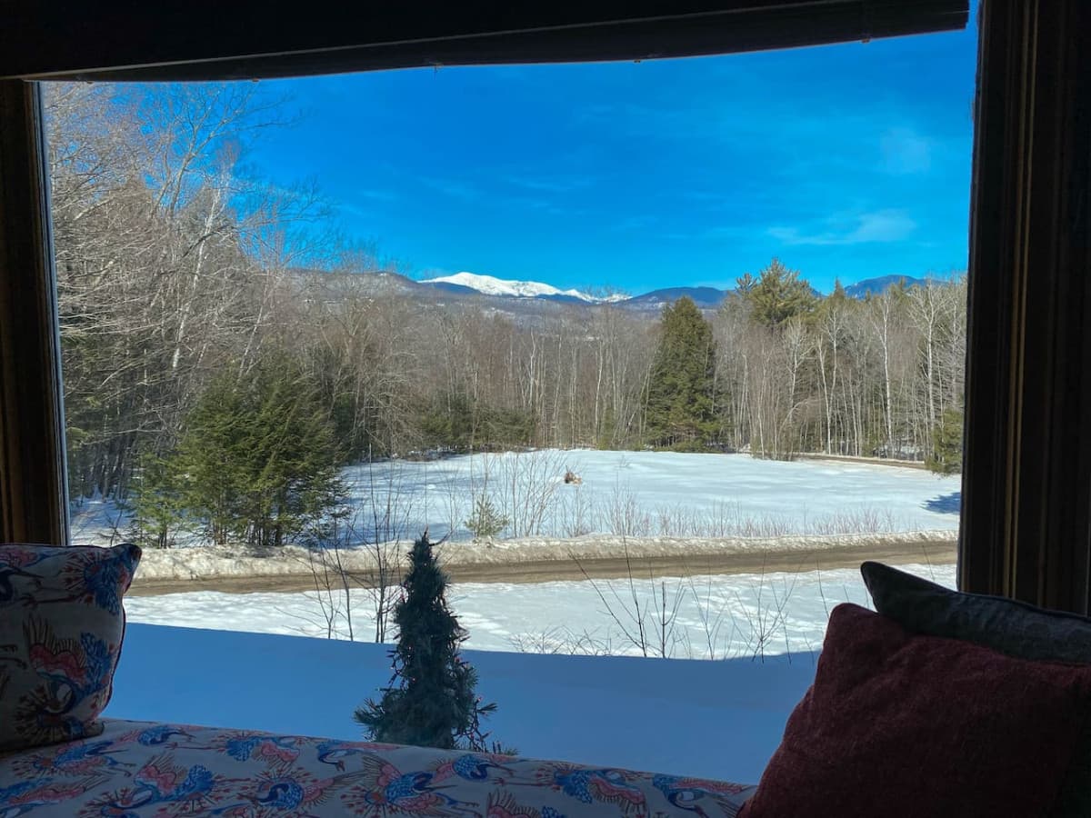 A close up, where you can see the natural meadow below the drive. (It looks flatter then it actually is, we sled down the near side) When we are quiet, we often see all kinds of wildlife passing through. (Be sure not to leave trash out.)