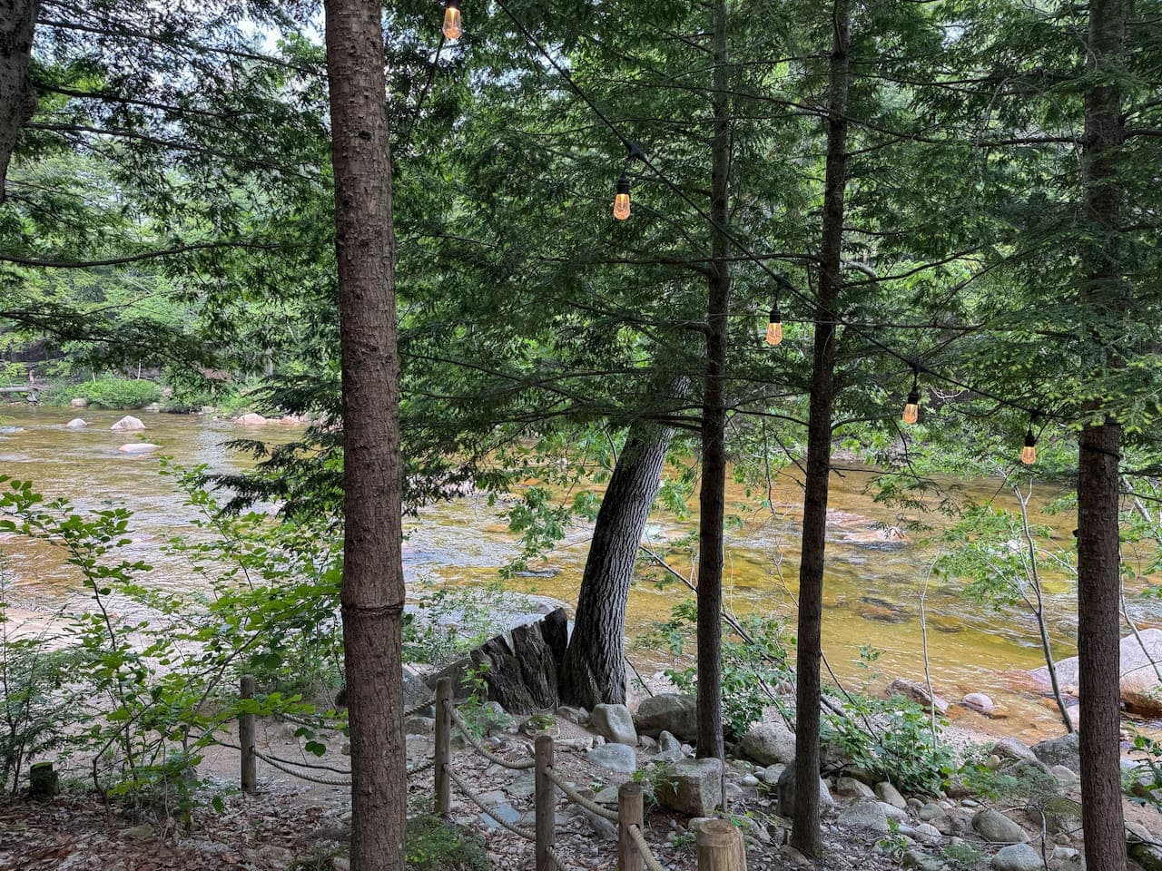 Gallery Image 41