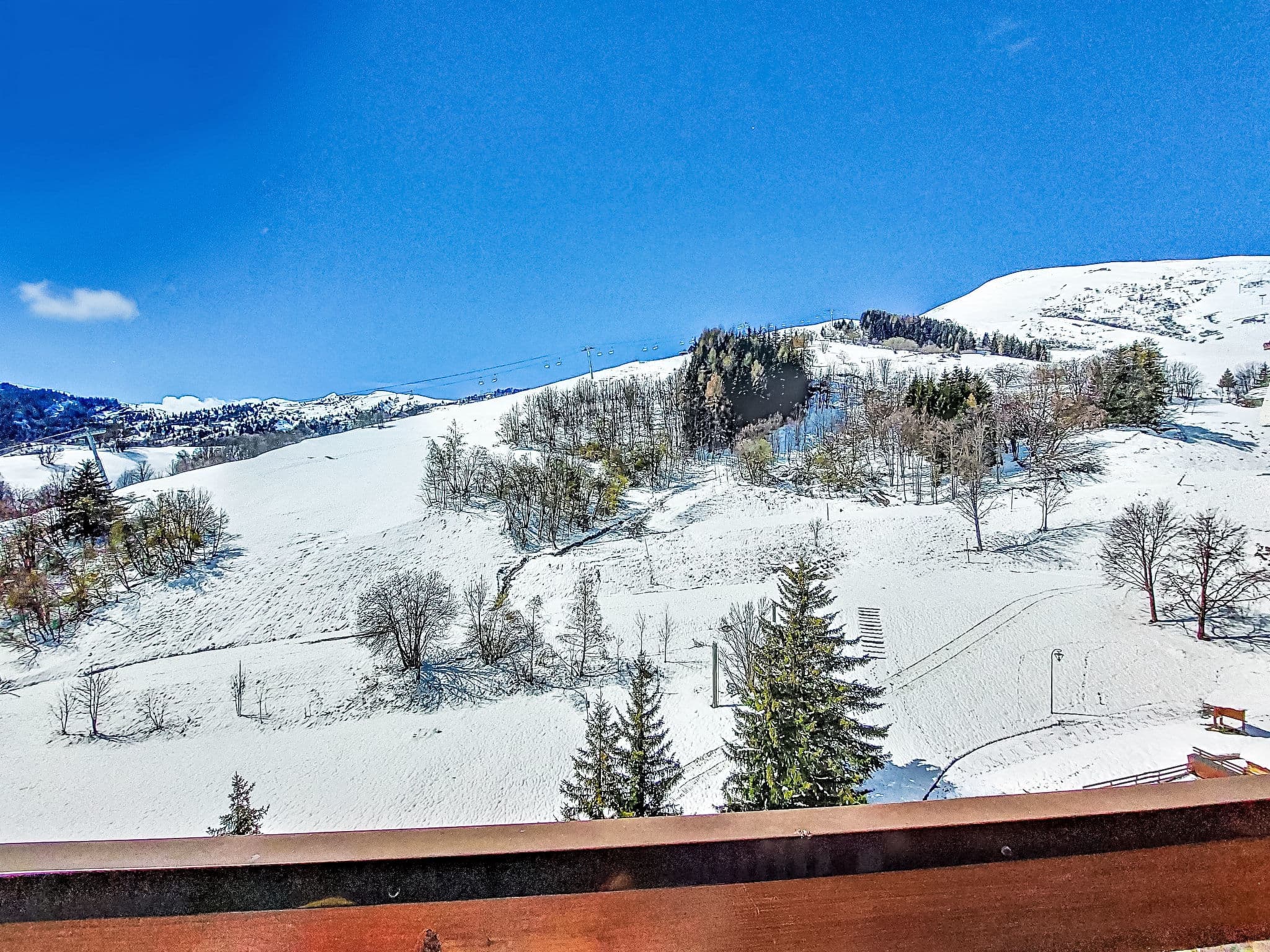 View