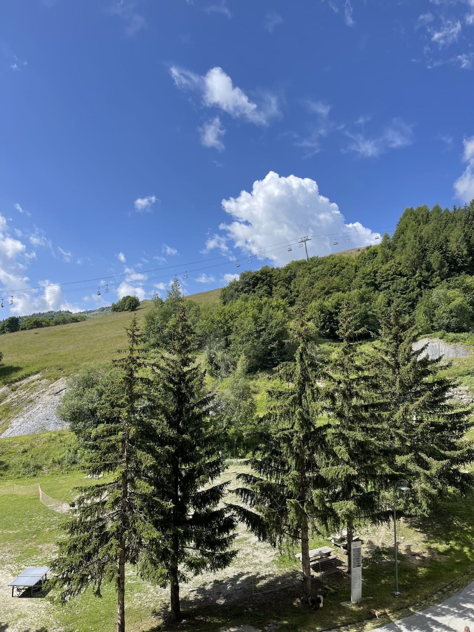 View