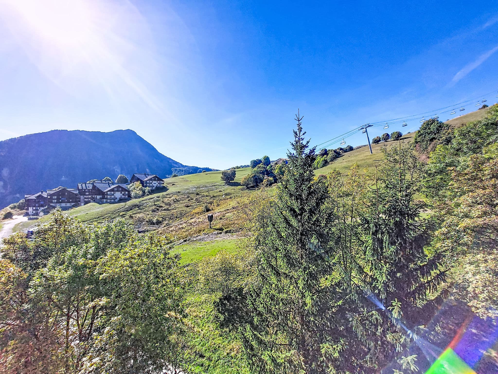 View