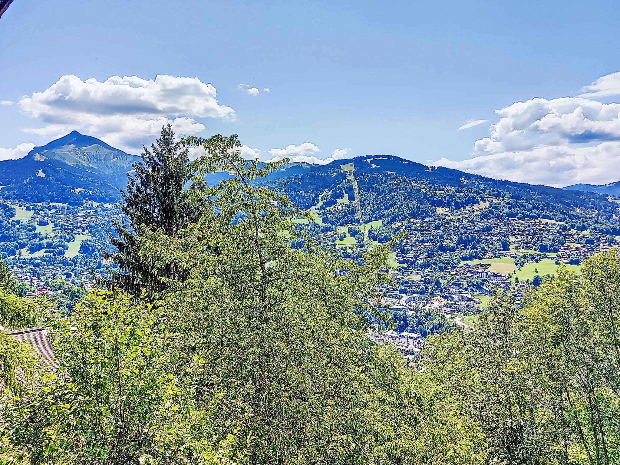 View