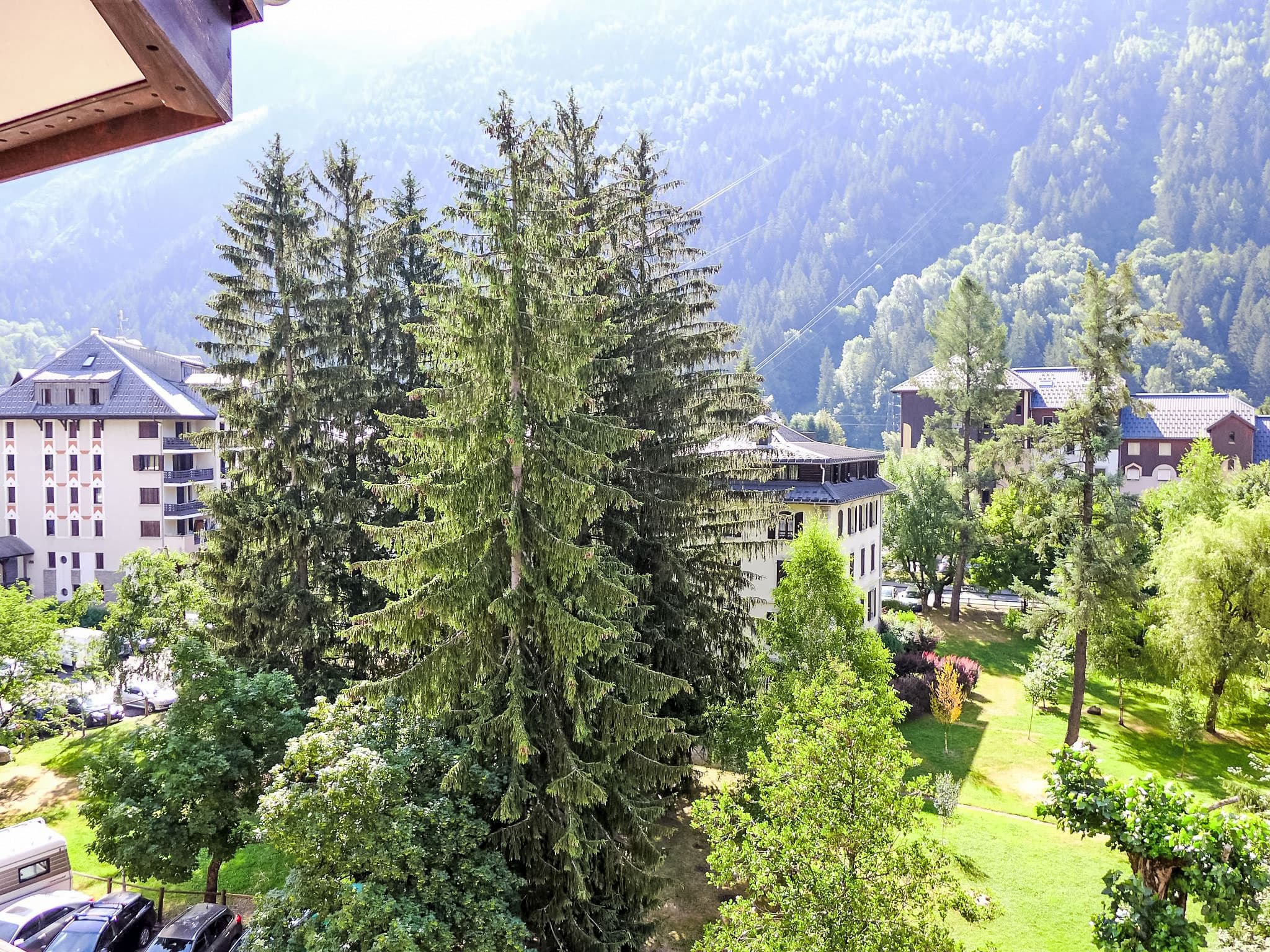 View