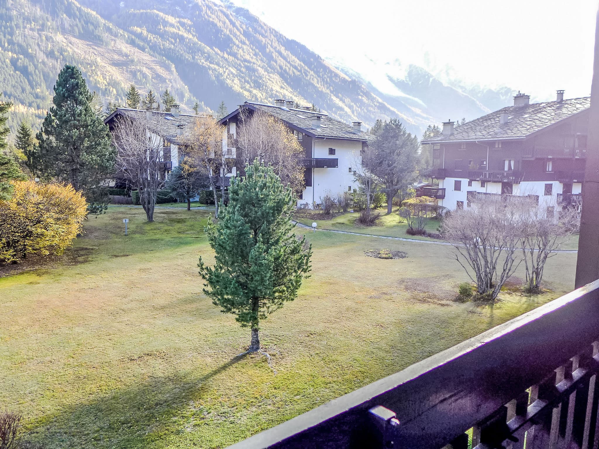 View