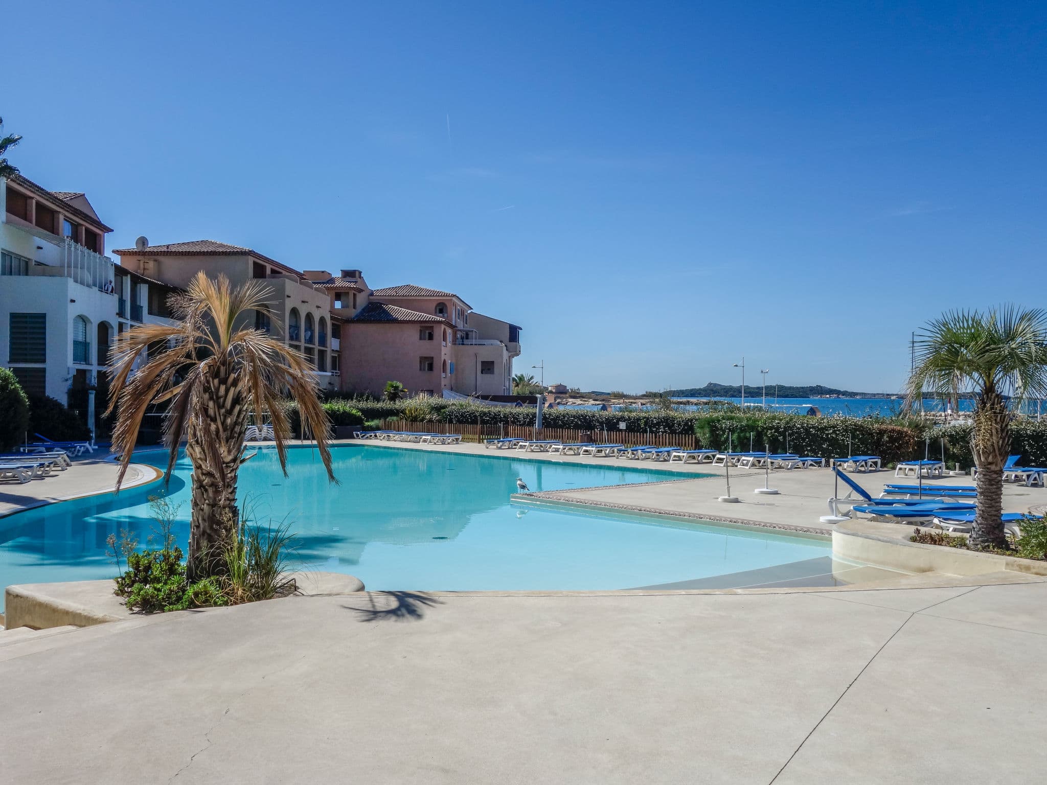 Pool Outdoor
