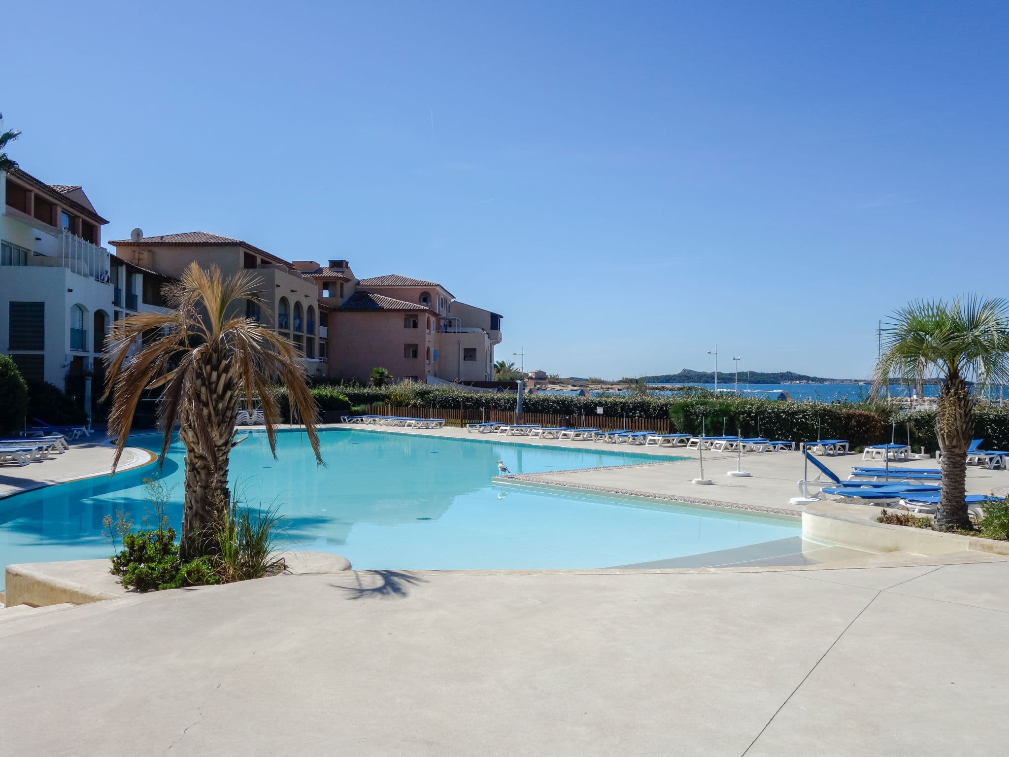 Pool Outdoor