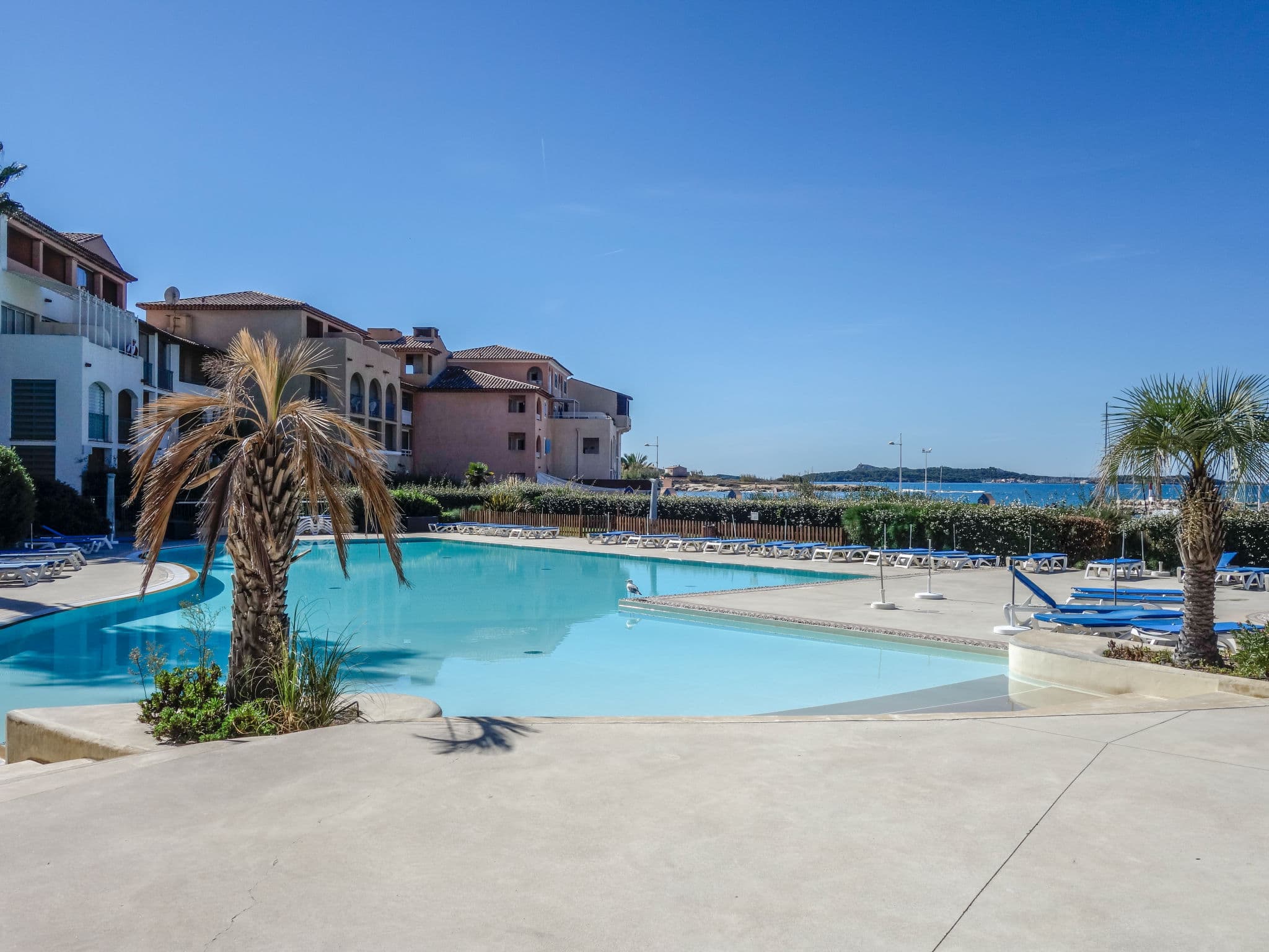 Pool Outdoor