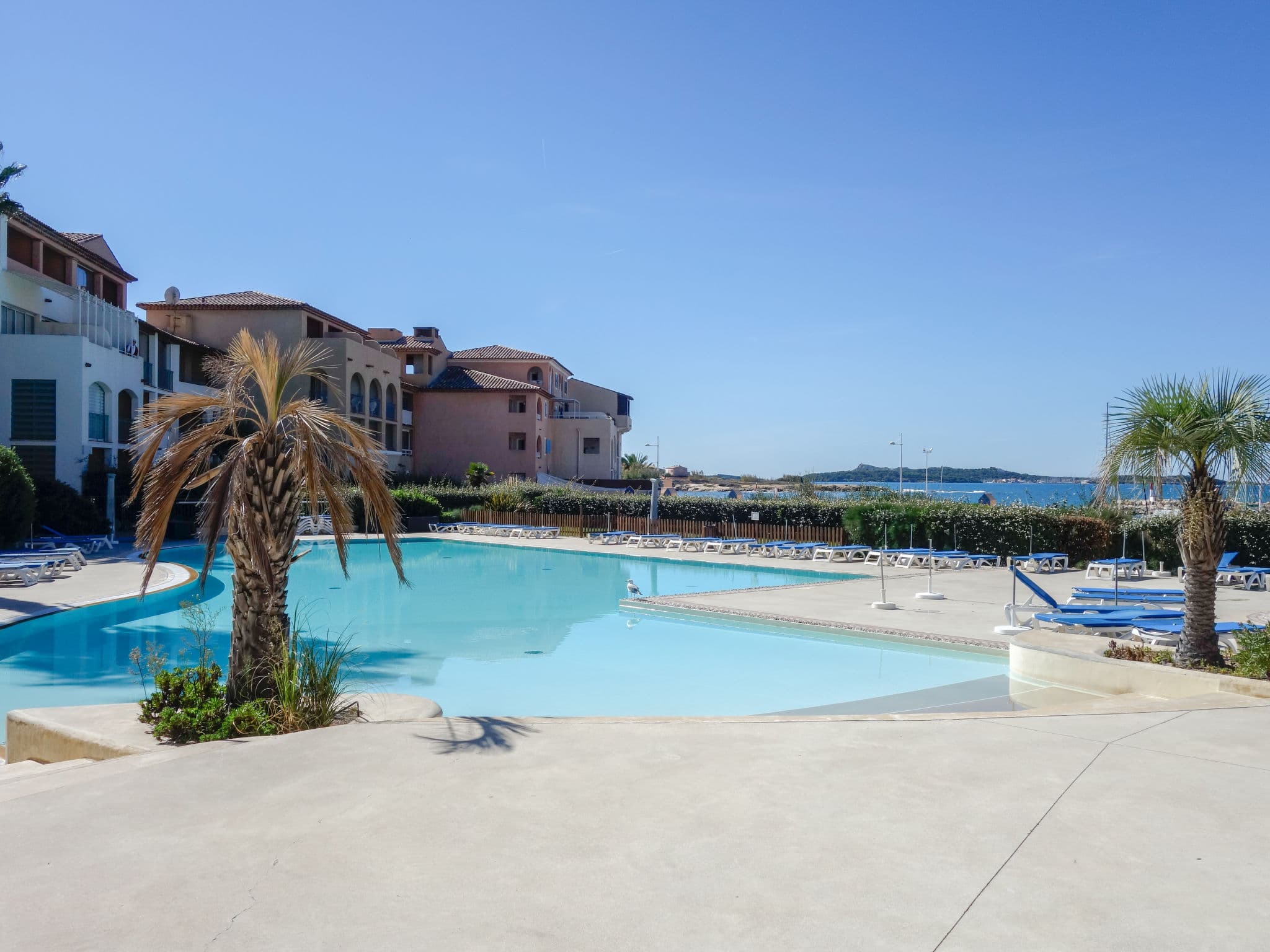Pool Outdoor