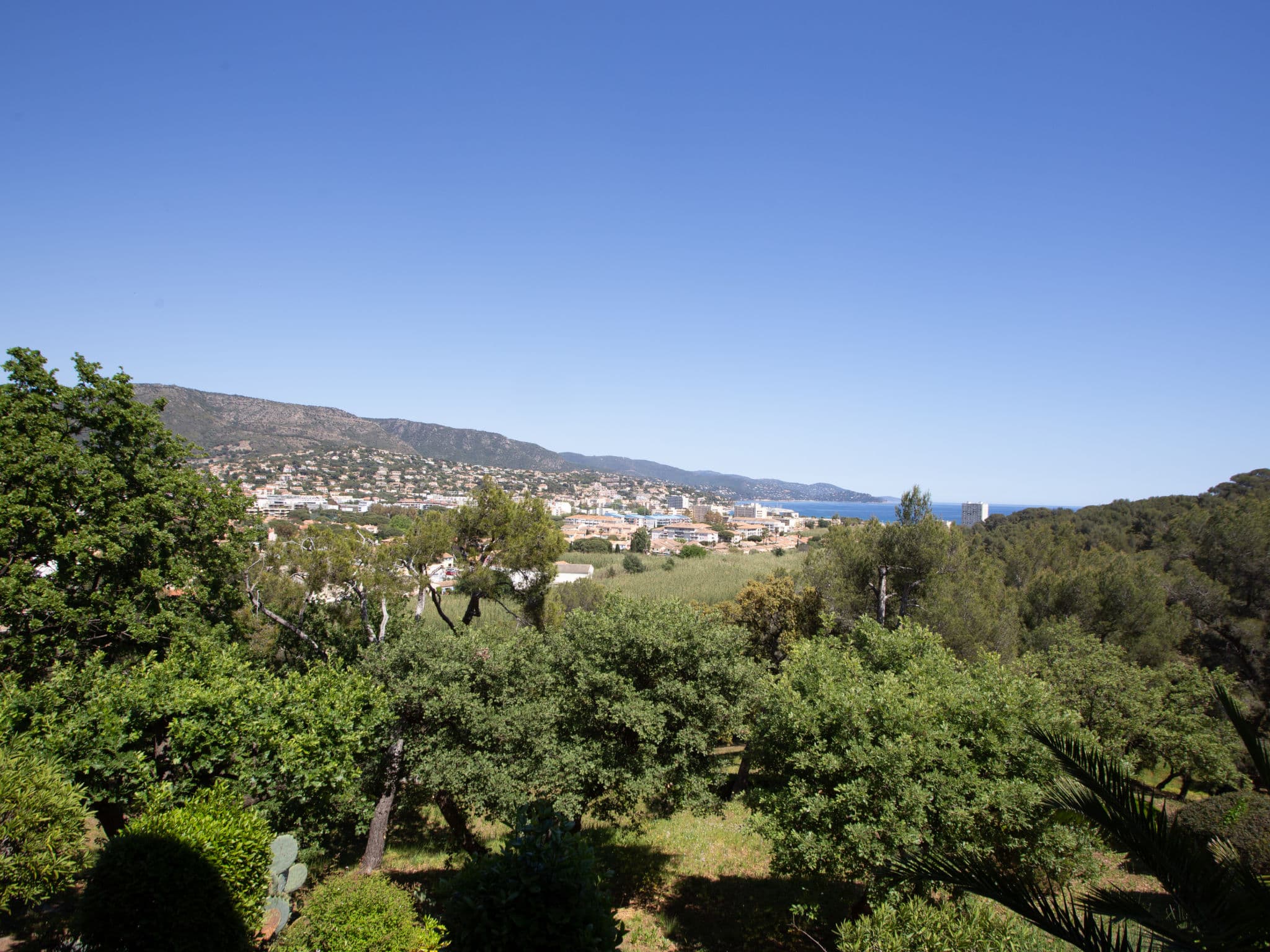 View