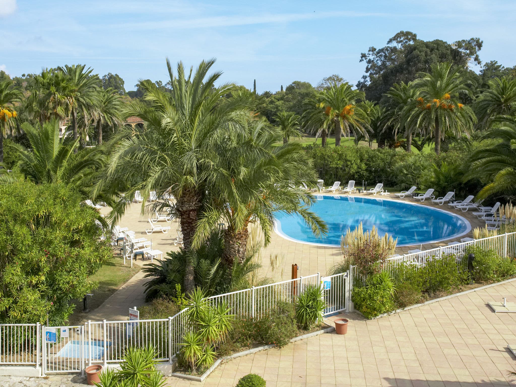 Pool Outdoor