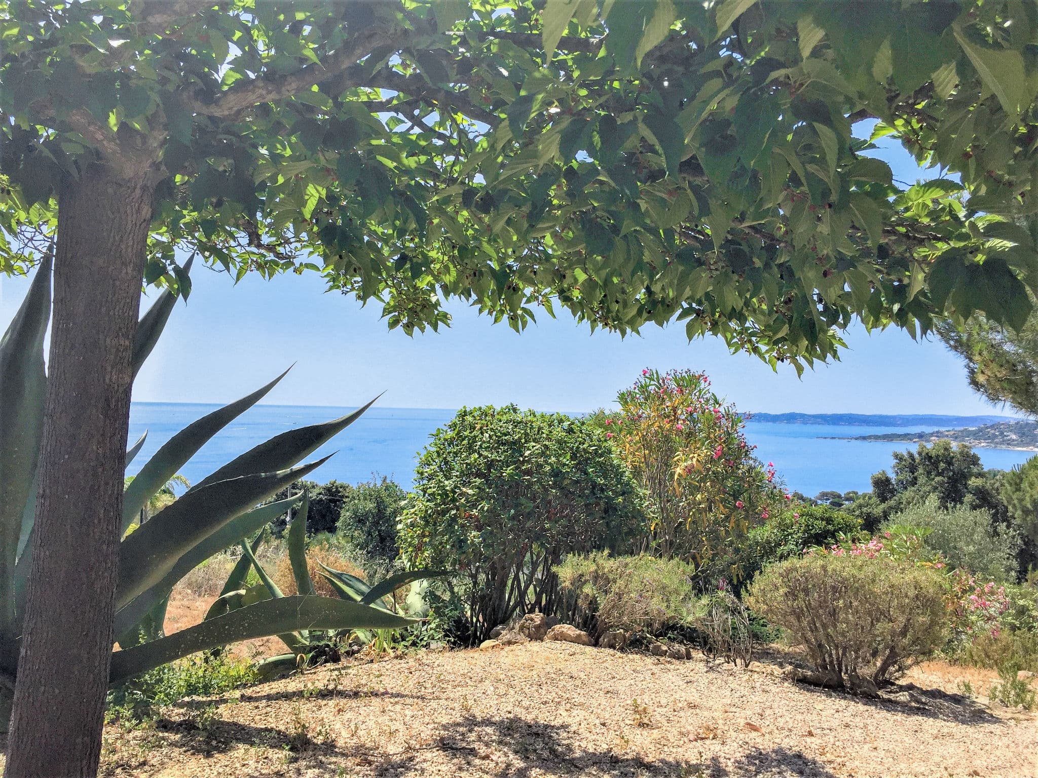 View