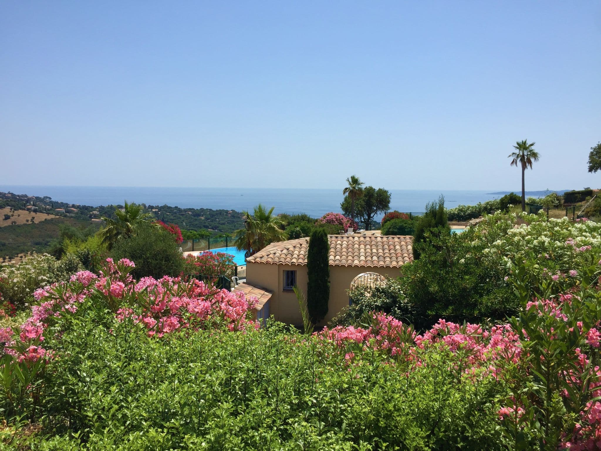 View