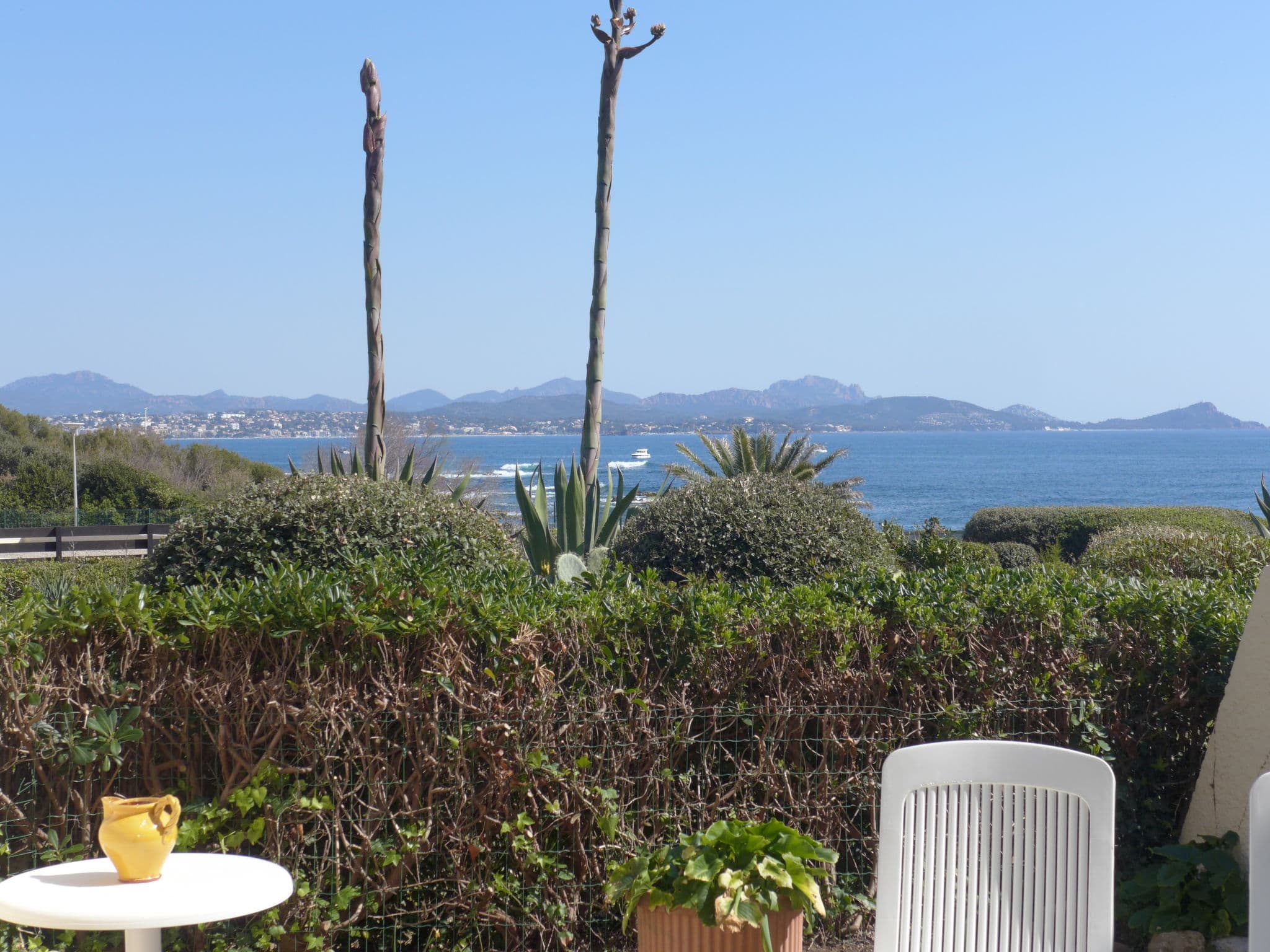 View