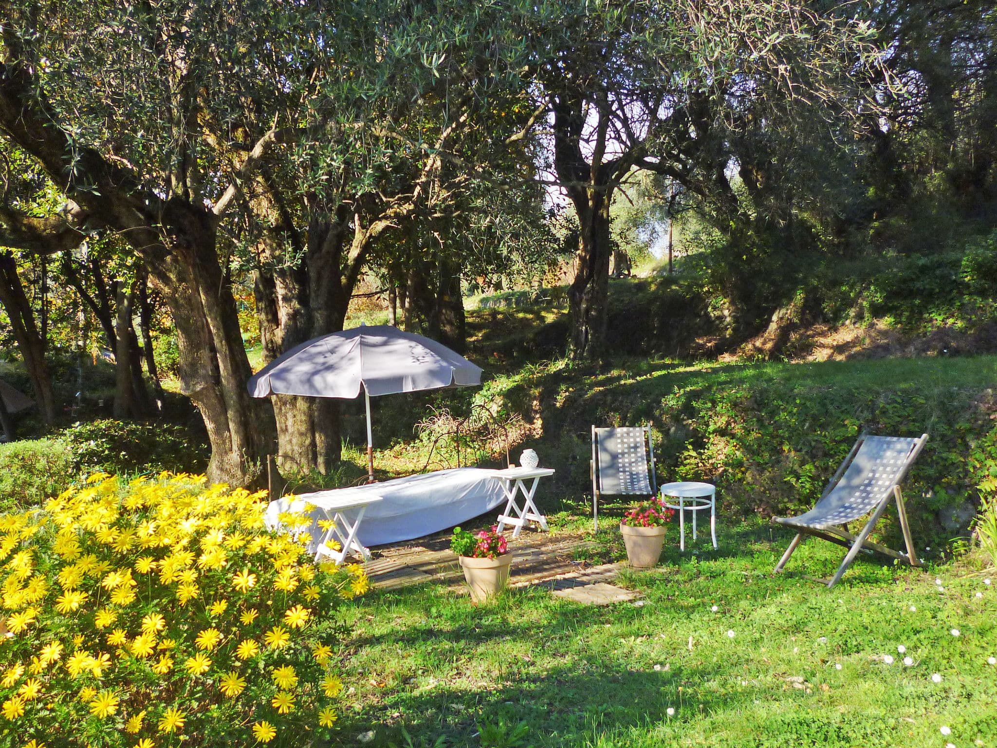 Outdoor