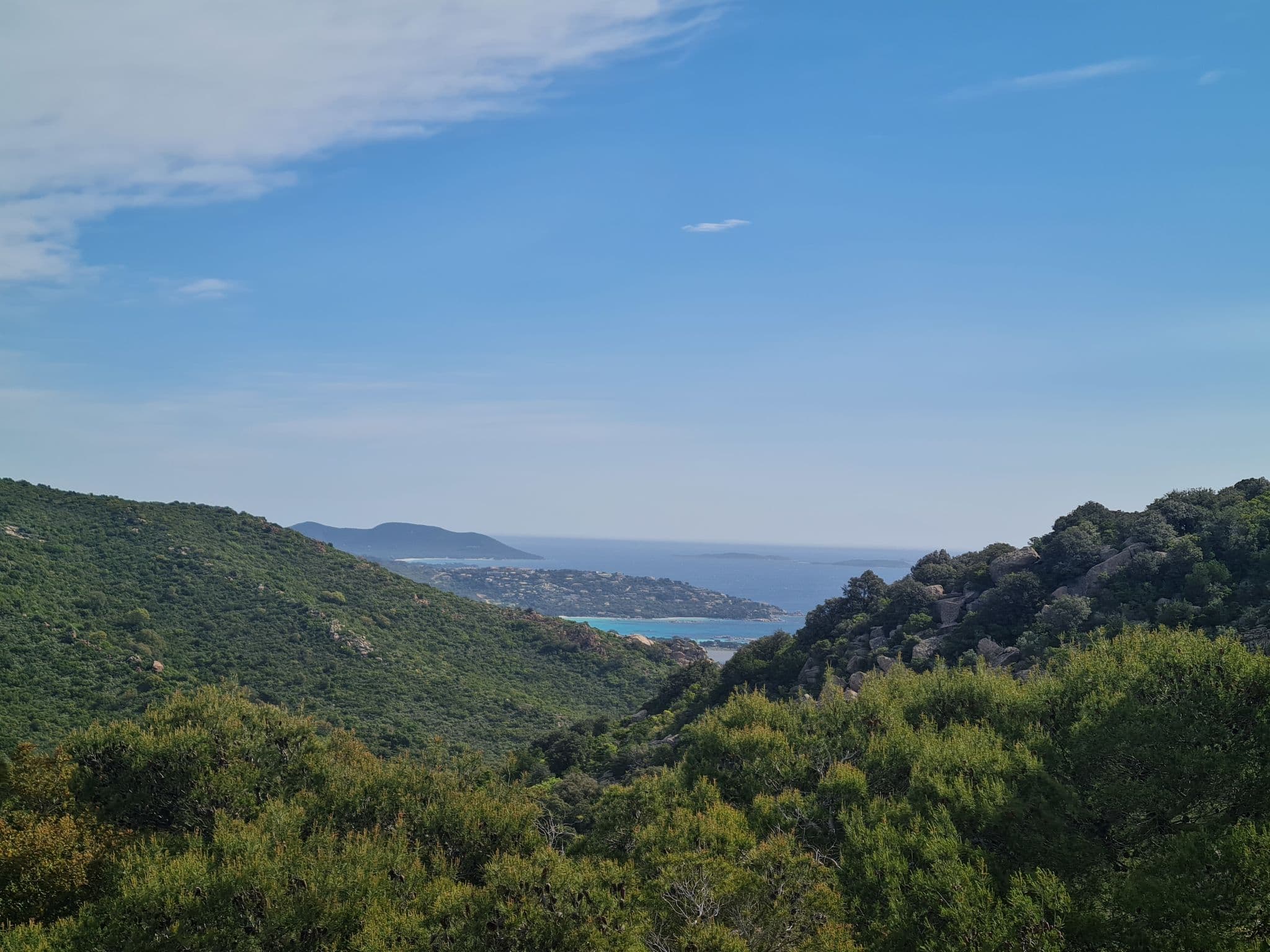 View